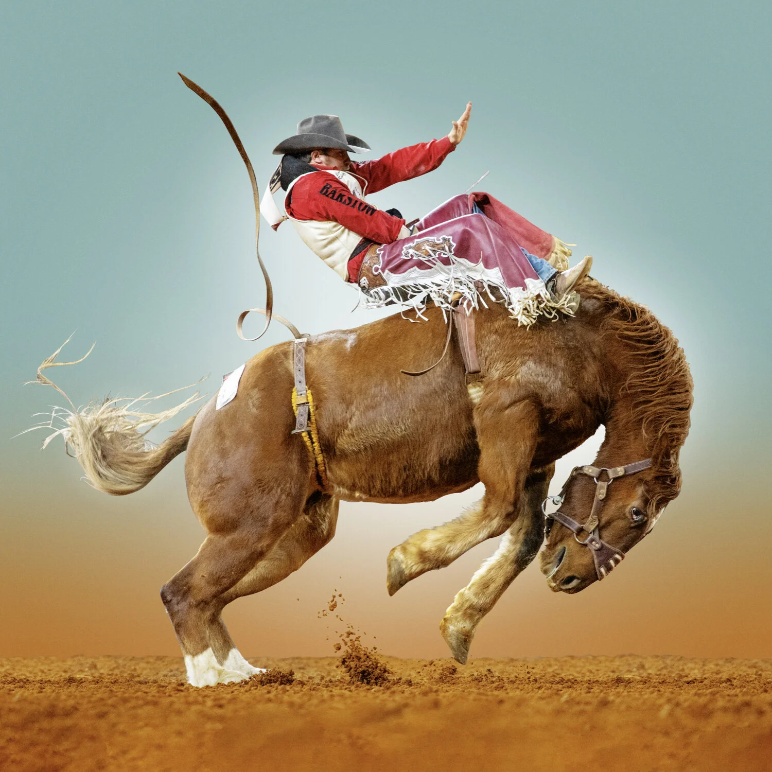 Wrubel NEW Web.005.jpeg