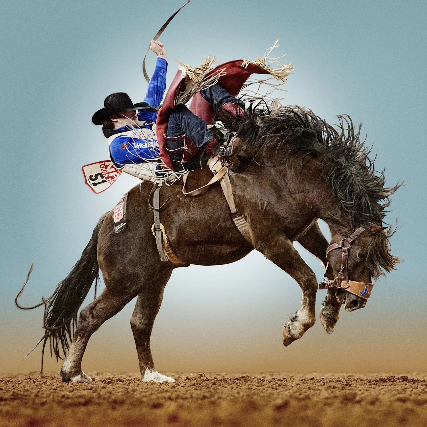 Wrubel NEW Web.012.jpeg