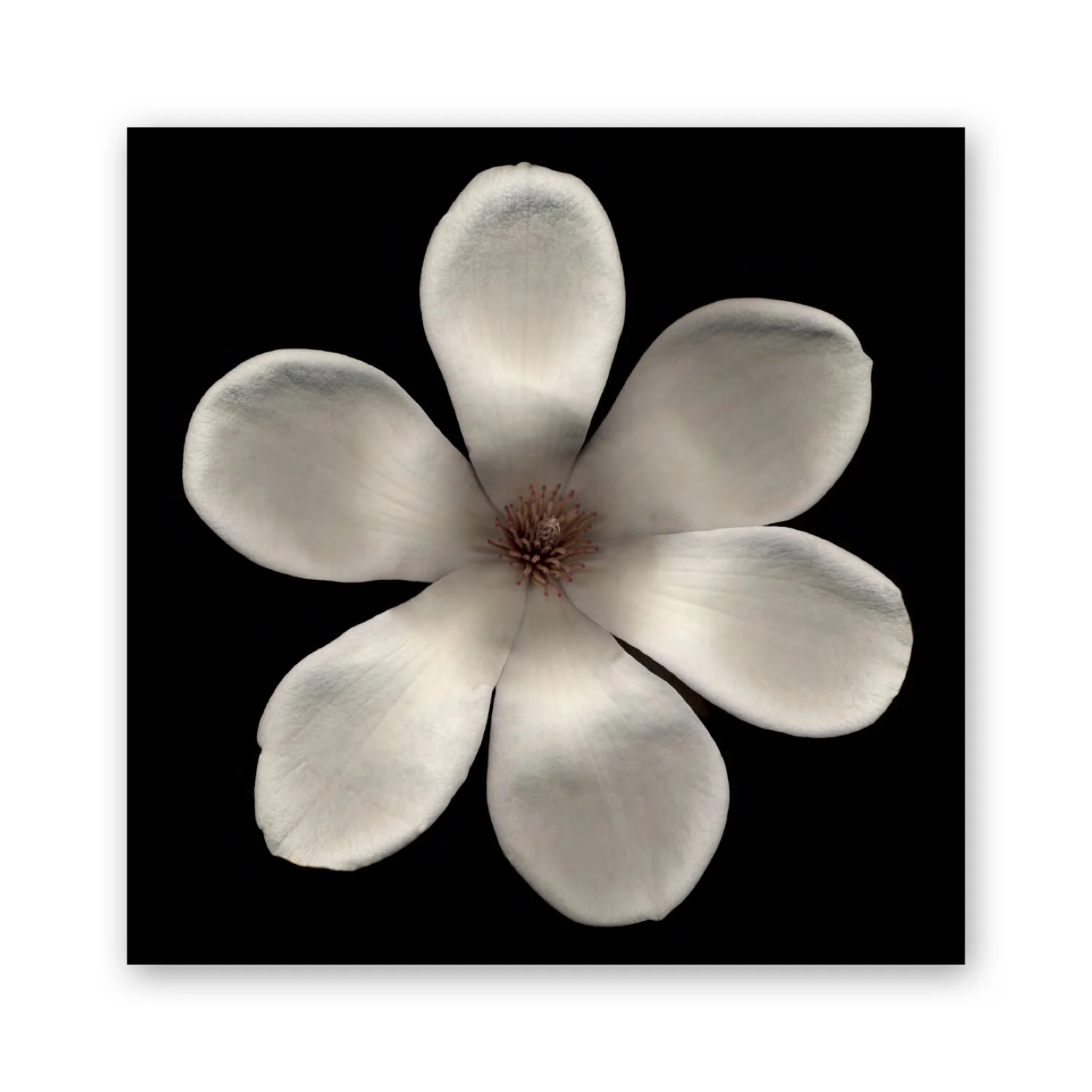 Botanical B 30