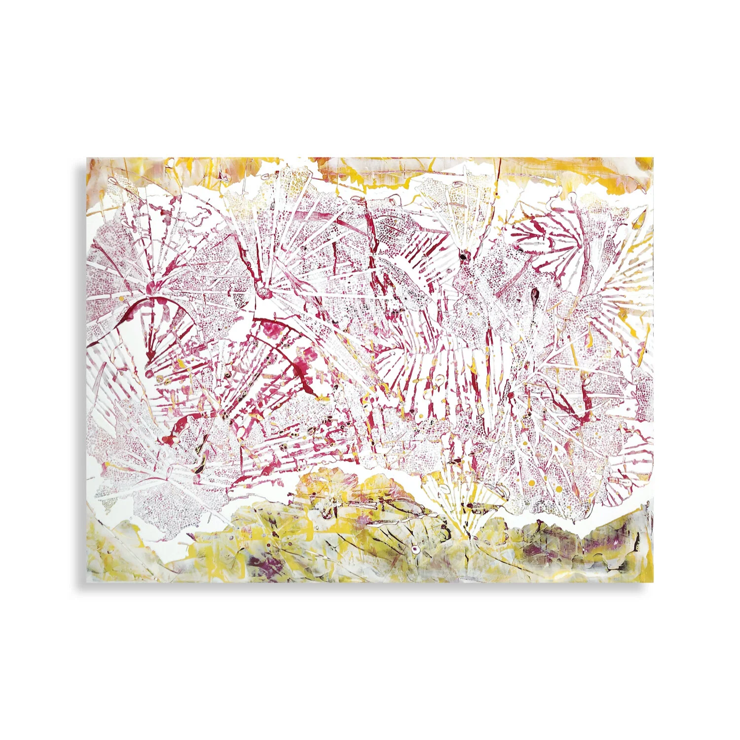 Kinga Czerska Web.014.jpeg