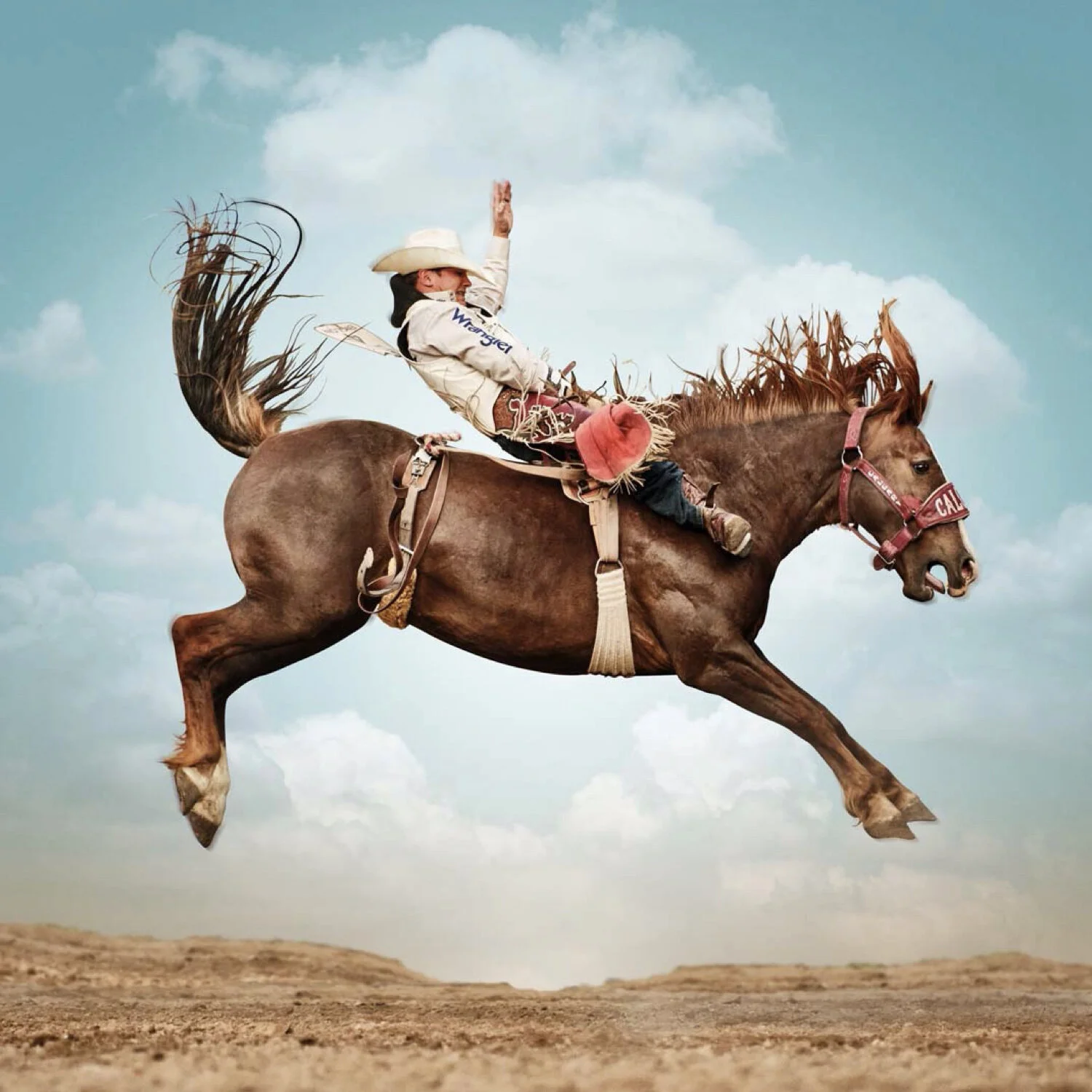 Wrubel Broncos.028.jpeg