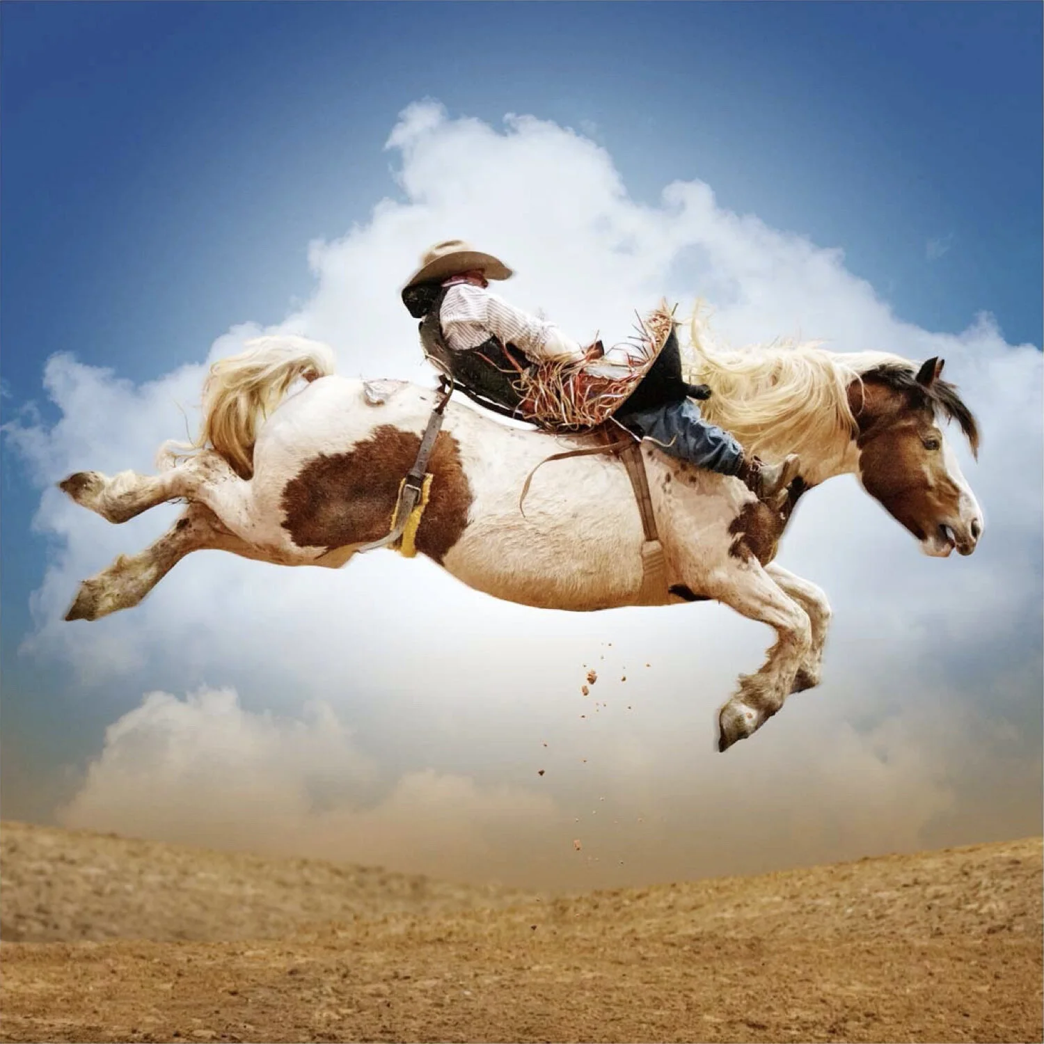 Wrubel Broncos.046.jpeg