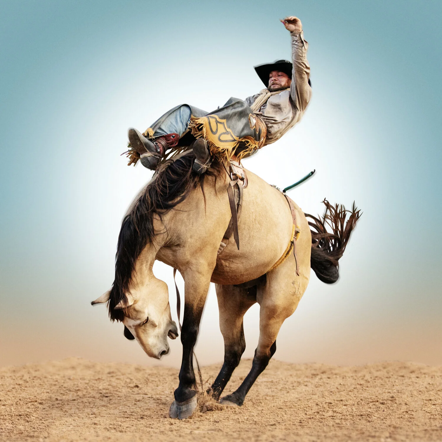 Wrubel Tuco.005.jpeg