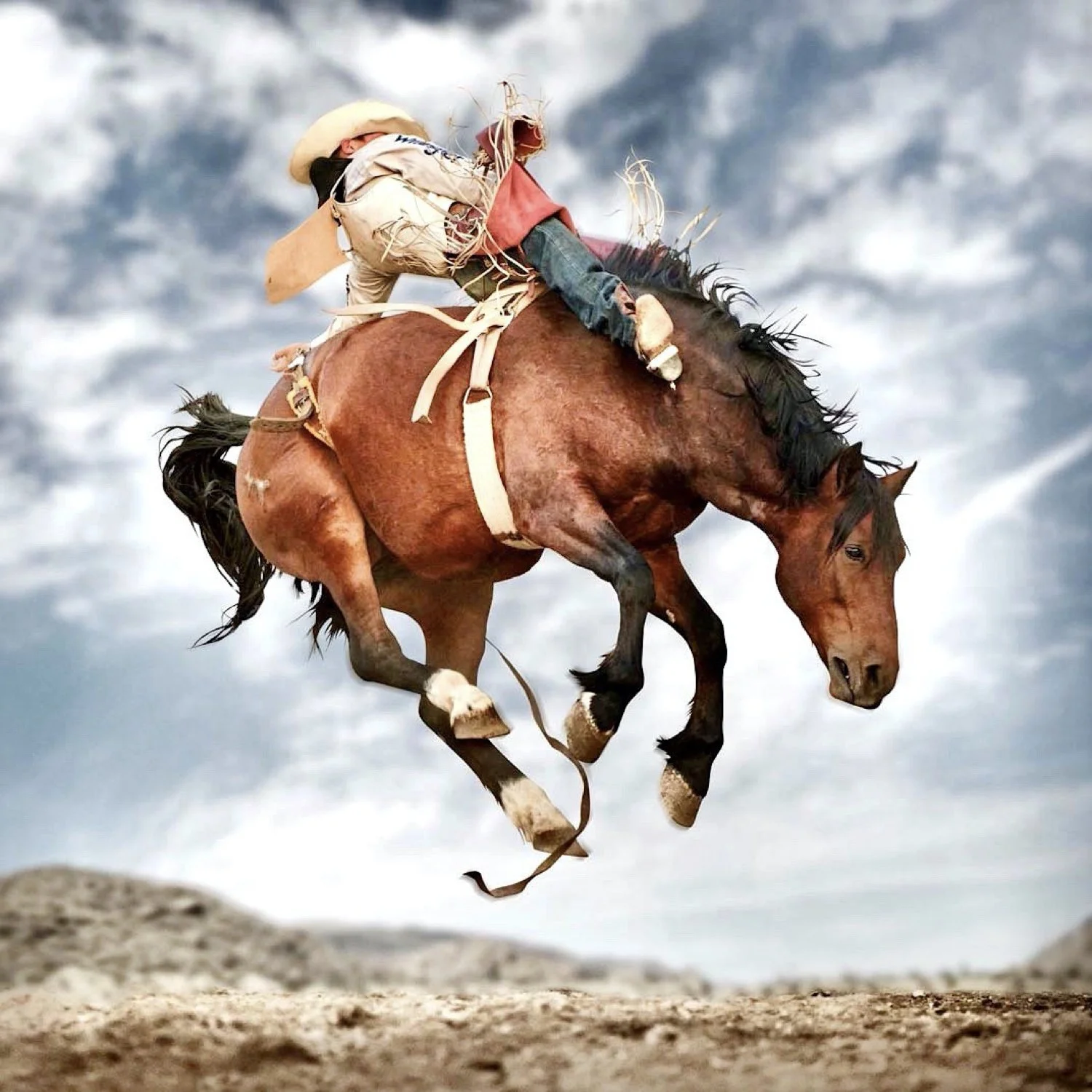 Wrubel Broncos.008.jpeg