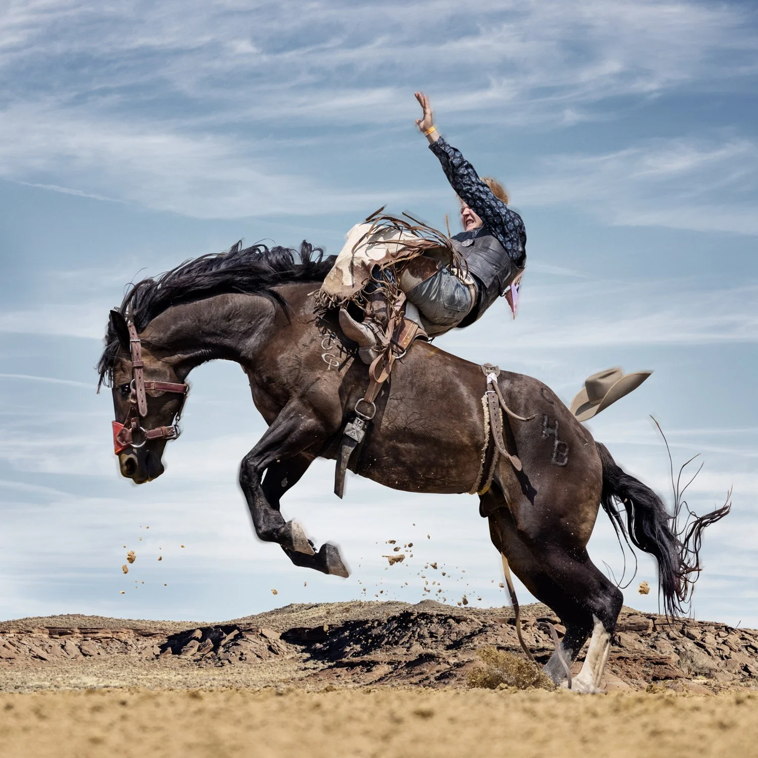 Wrubel Web 2022.029.jpeg