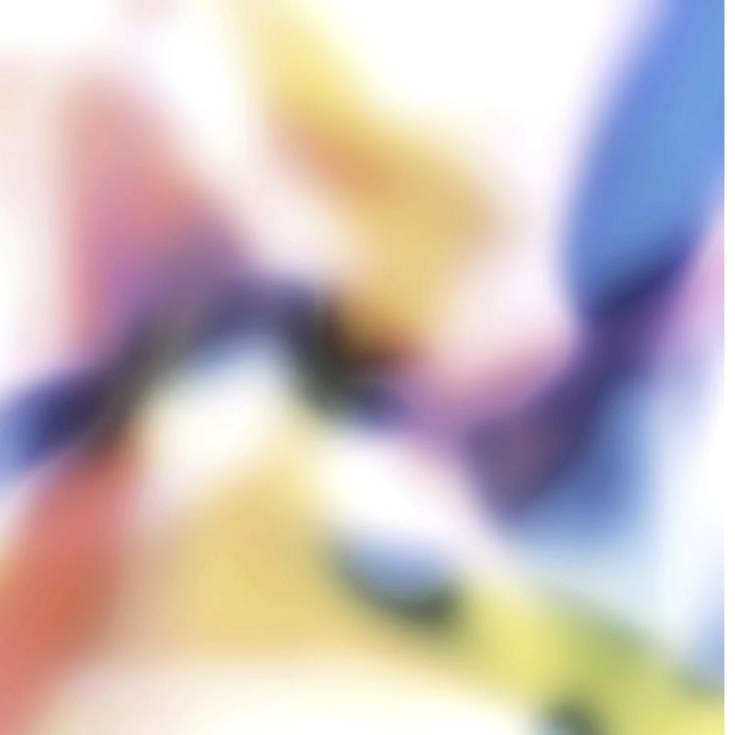 vitreous sq.007.jpeg