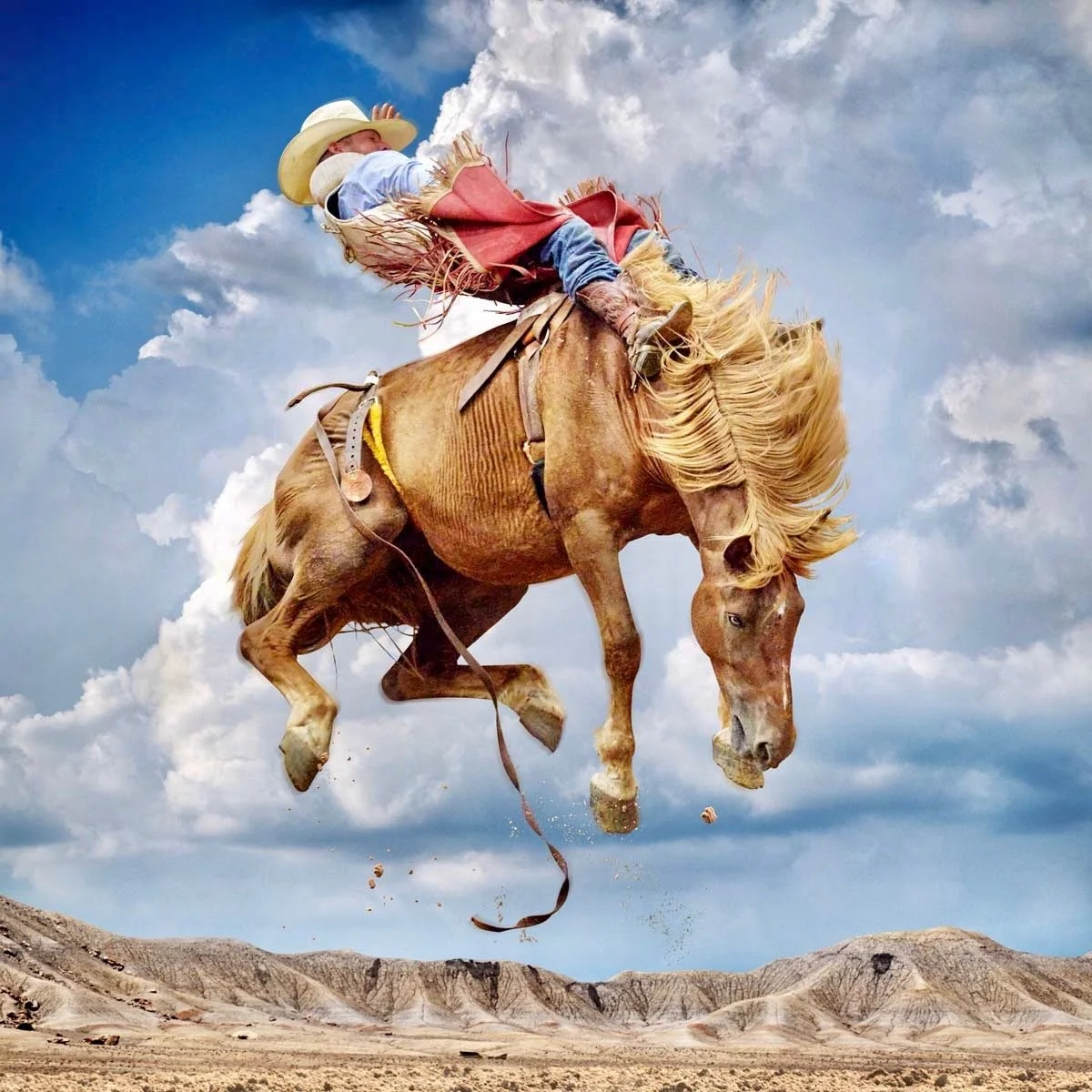 Image 3-2-22 at 1.26 PM.jpeg