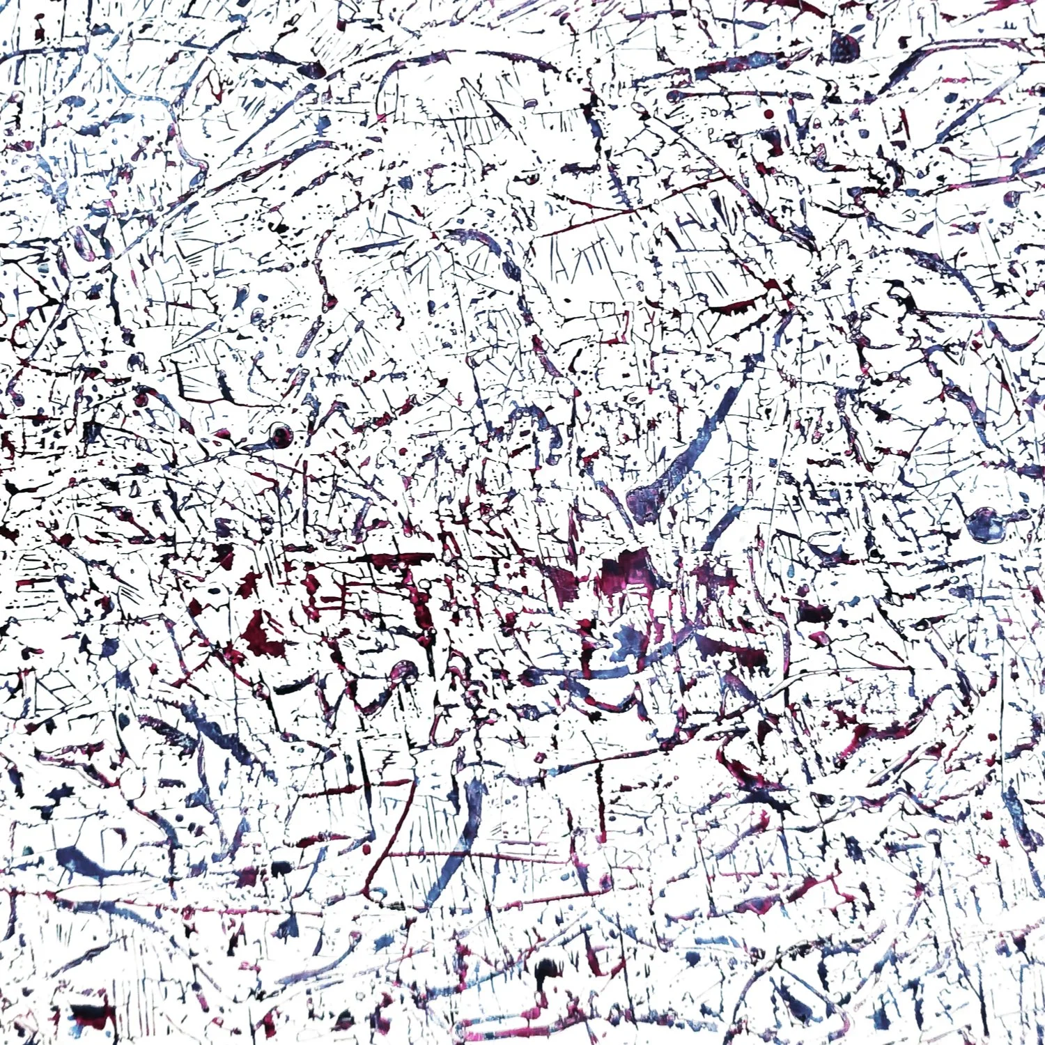 Kinga Czerska Web Updated (Jan.).005.jpeg