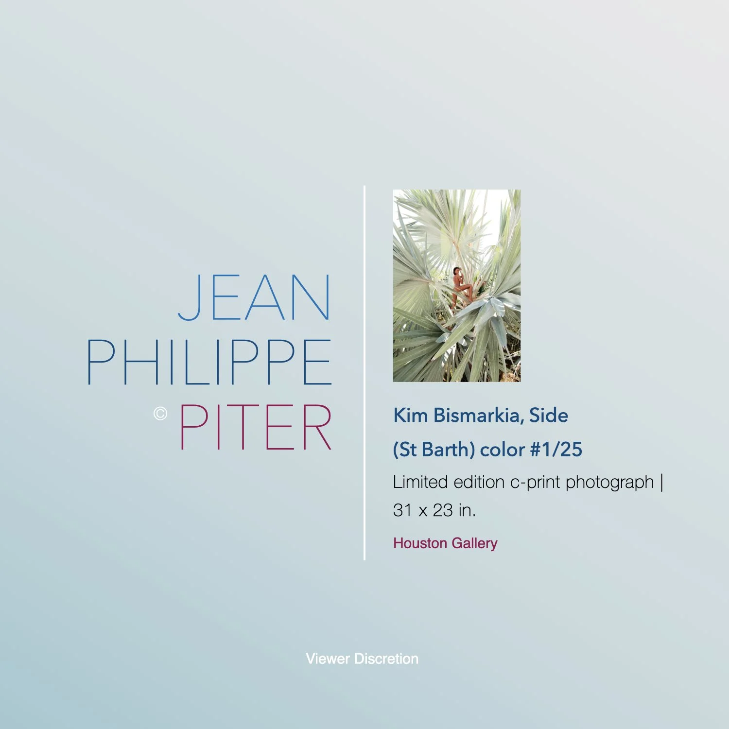 Jean Philippe Piter .017.jpeg