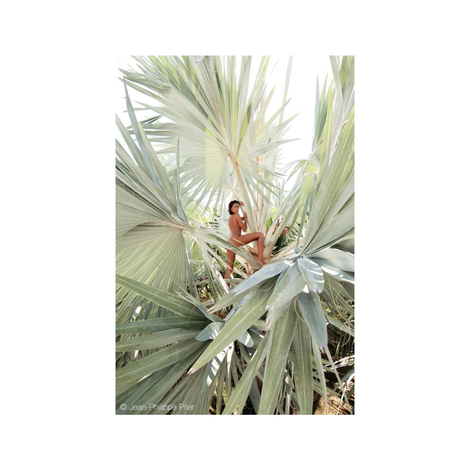 Jean Philippe Piter .018.jpeg