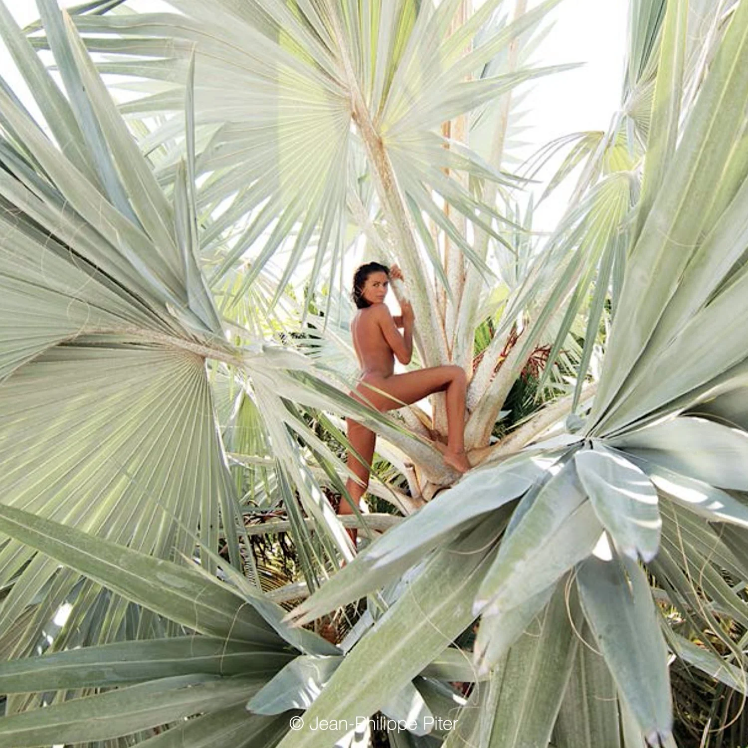 Jean Philippe Piter .019.jpeg