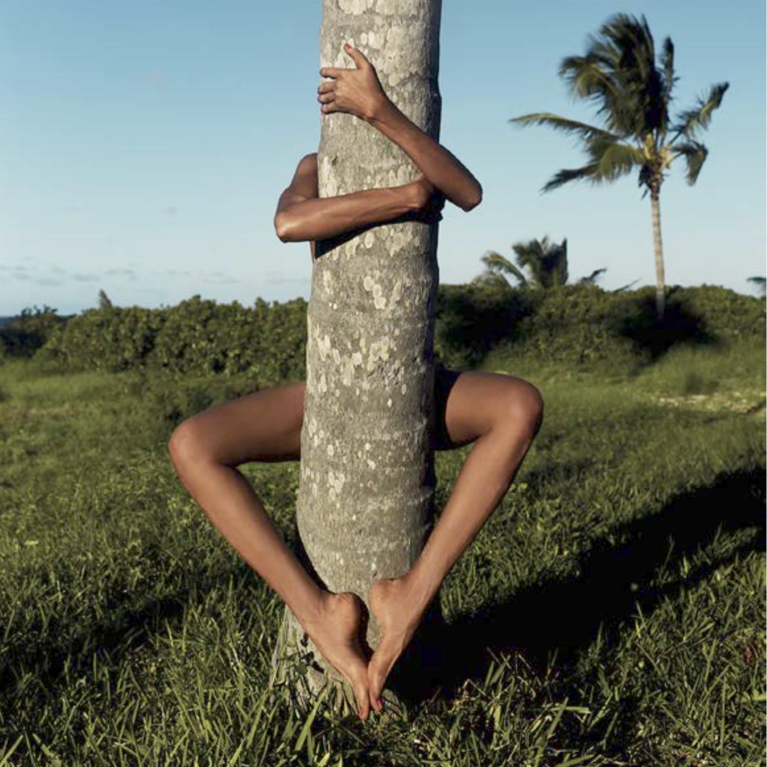 JPP-treehuger.003.jpeg