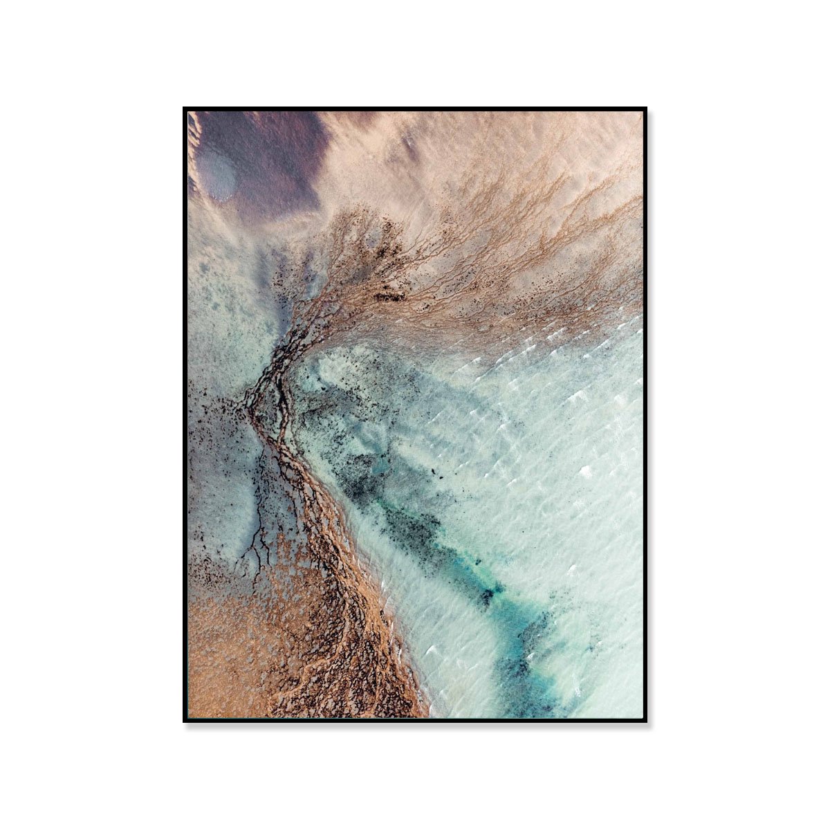 Coral Veins - background.jpg