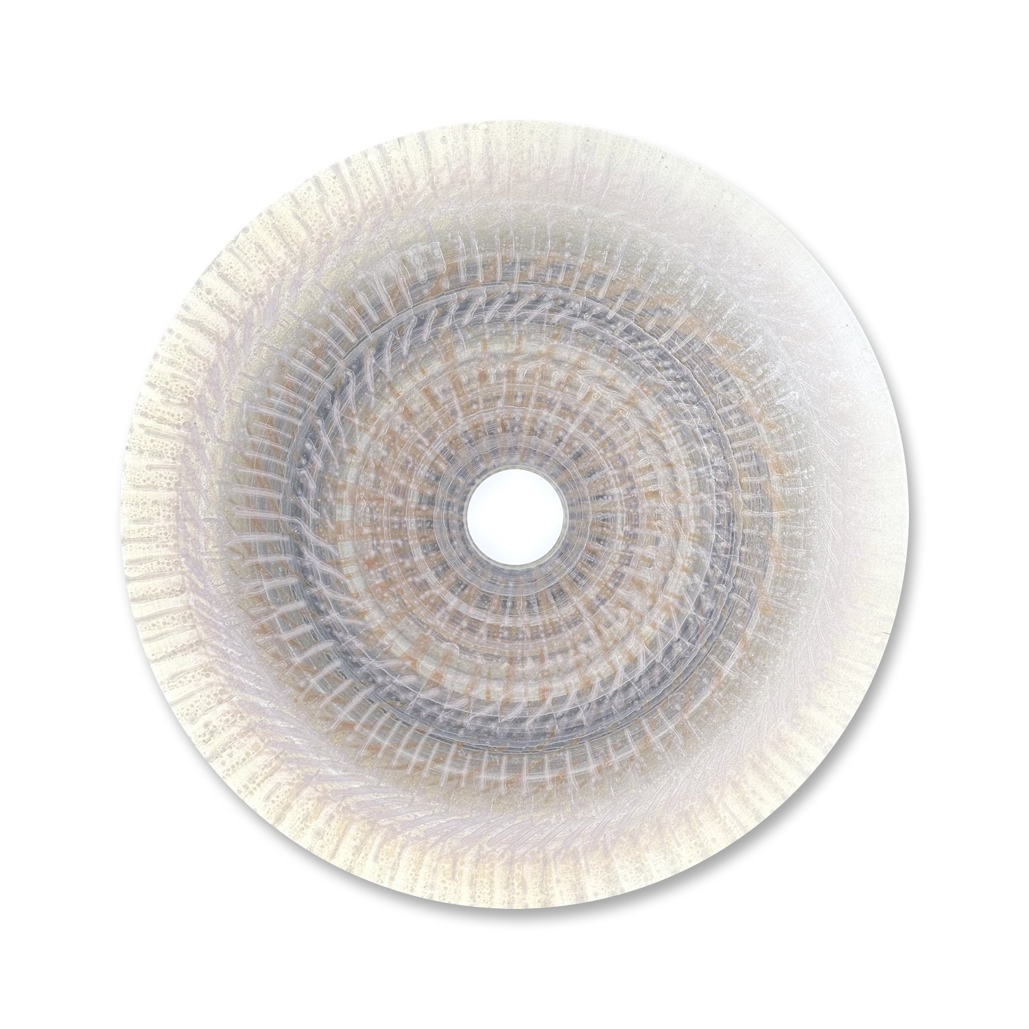 Disc2024.008.jpeg