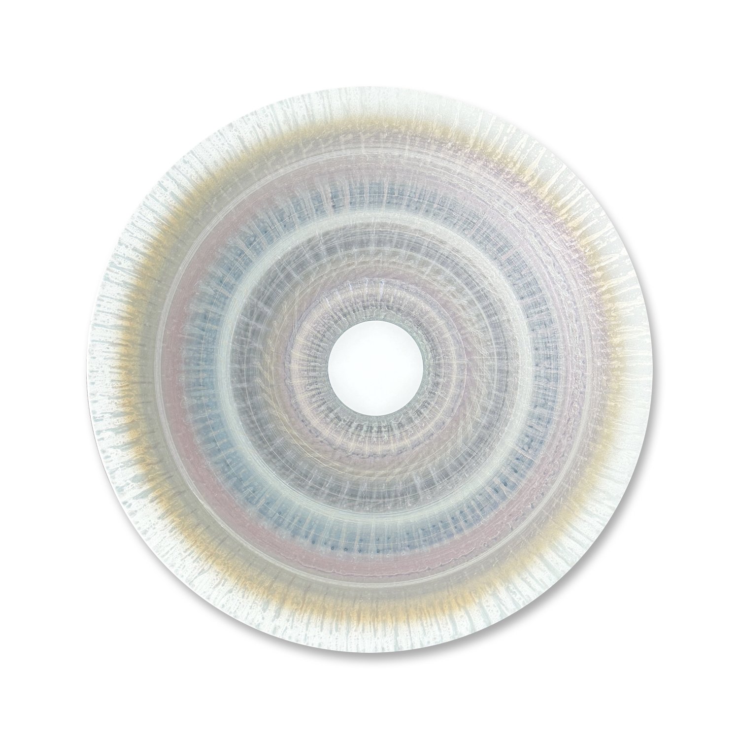 Disc2024.016.jpeg