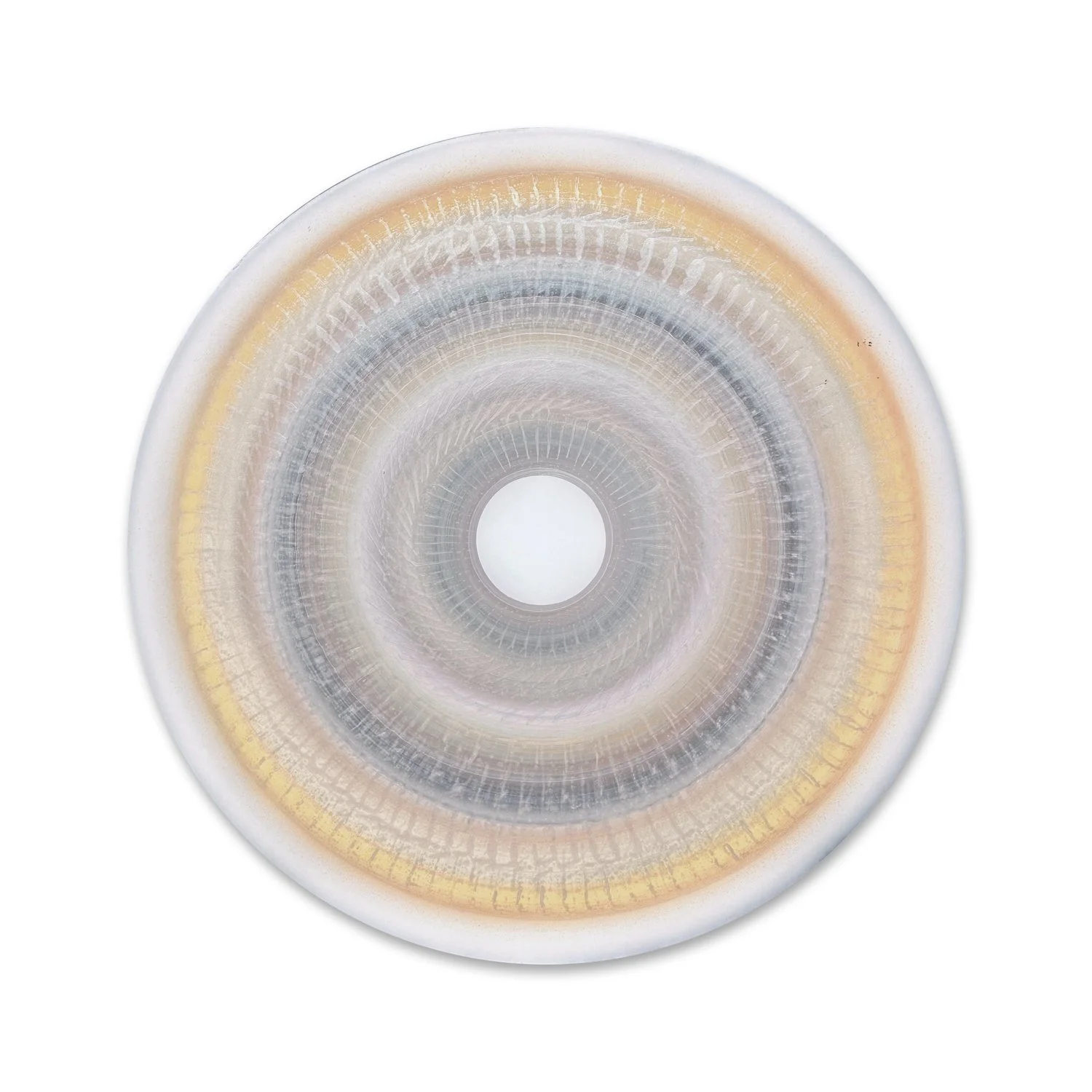Vita Botanica 03  |  46" Disc