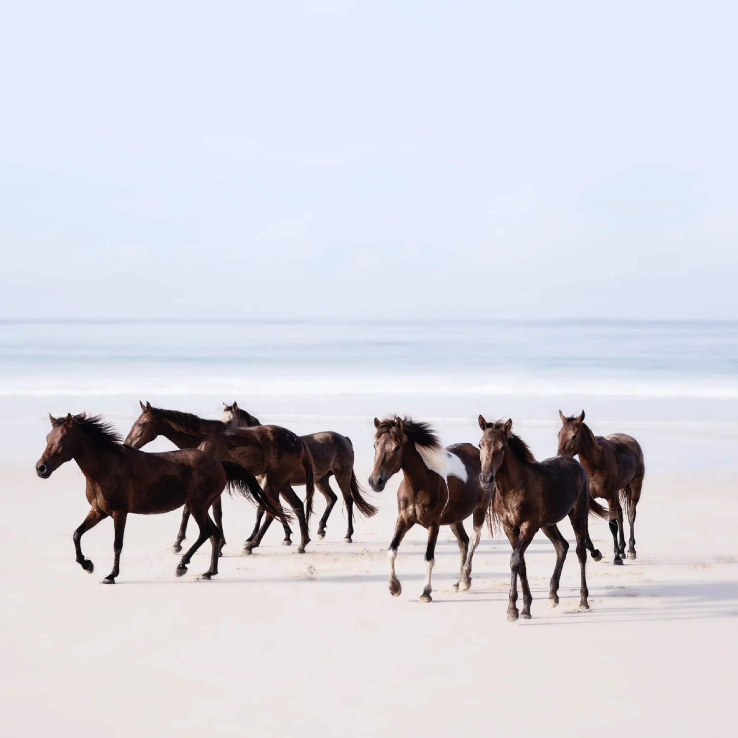 cowboys of the sea .002.jpeg