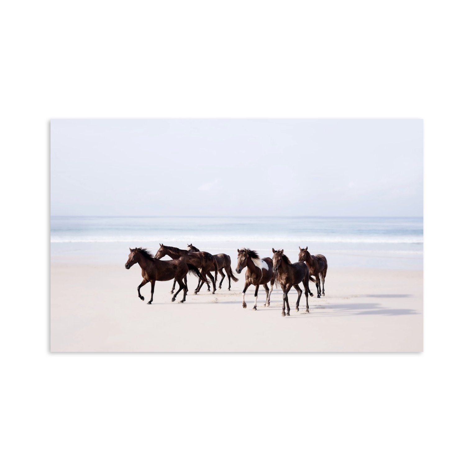 cowboys of the sea .001.jpeg