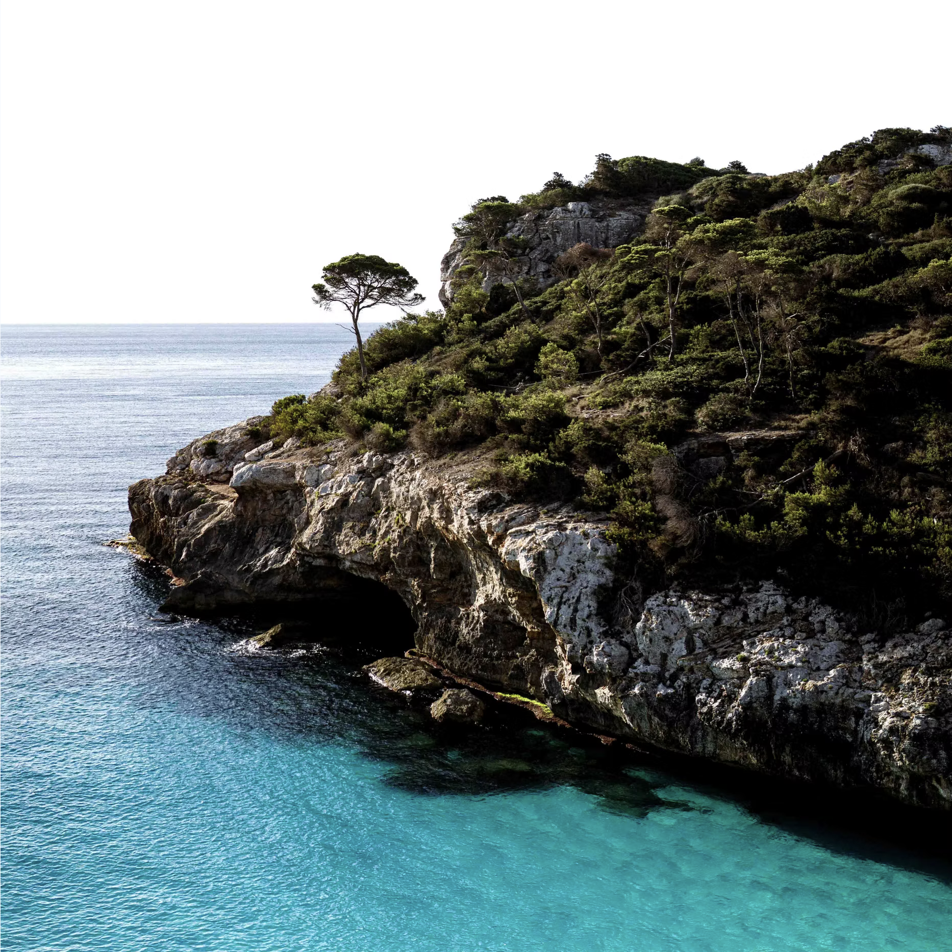 Calo des Moro