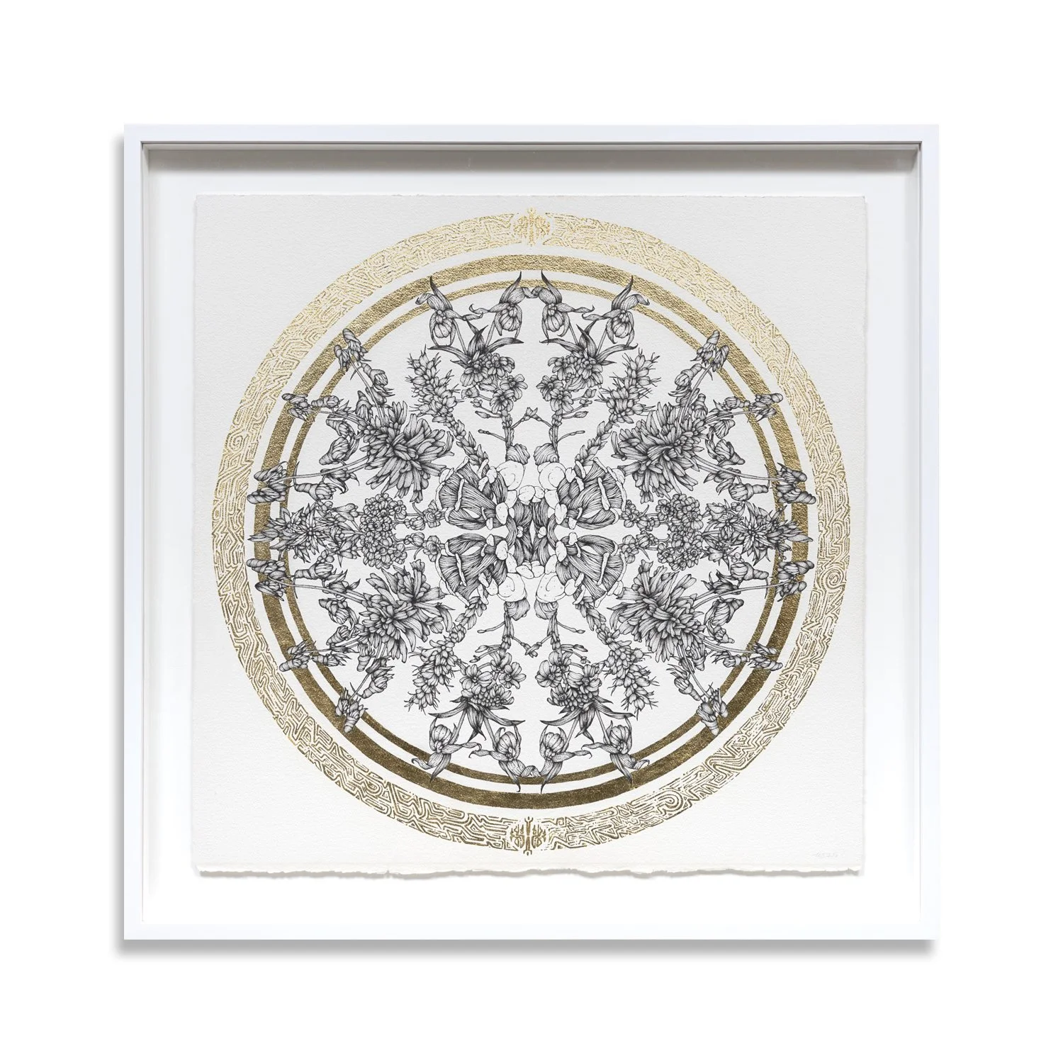 Floral Vortex Seven  | 35 x 35"