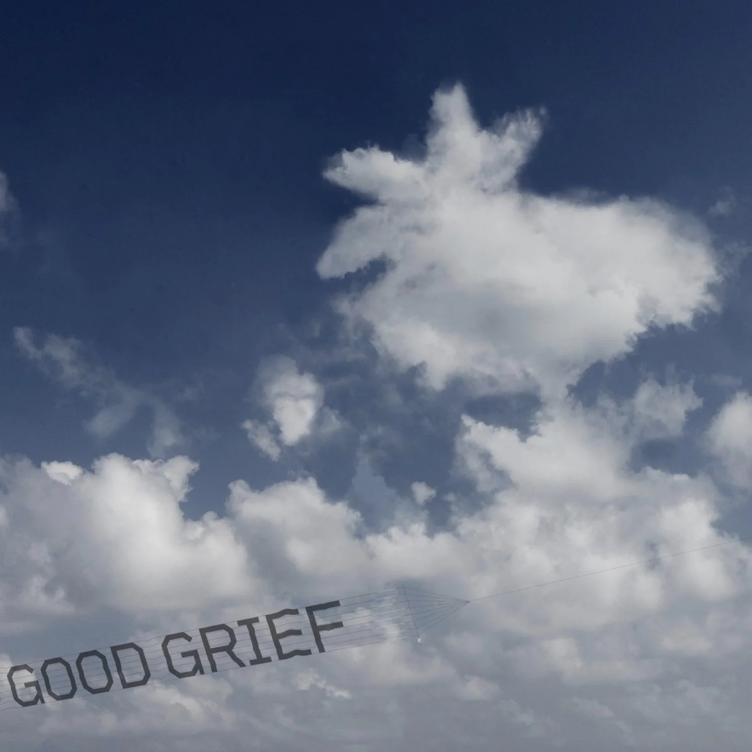 Debranne Cingari.053.jpeg