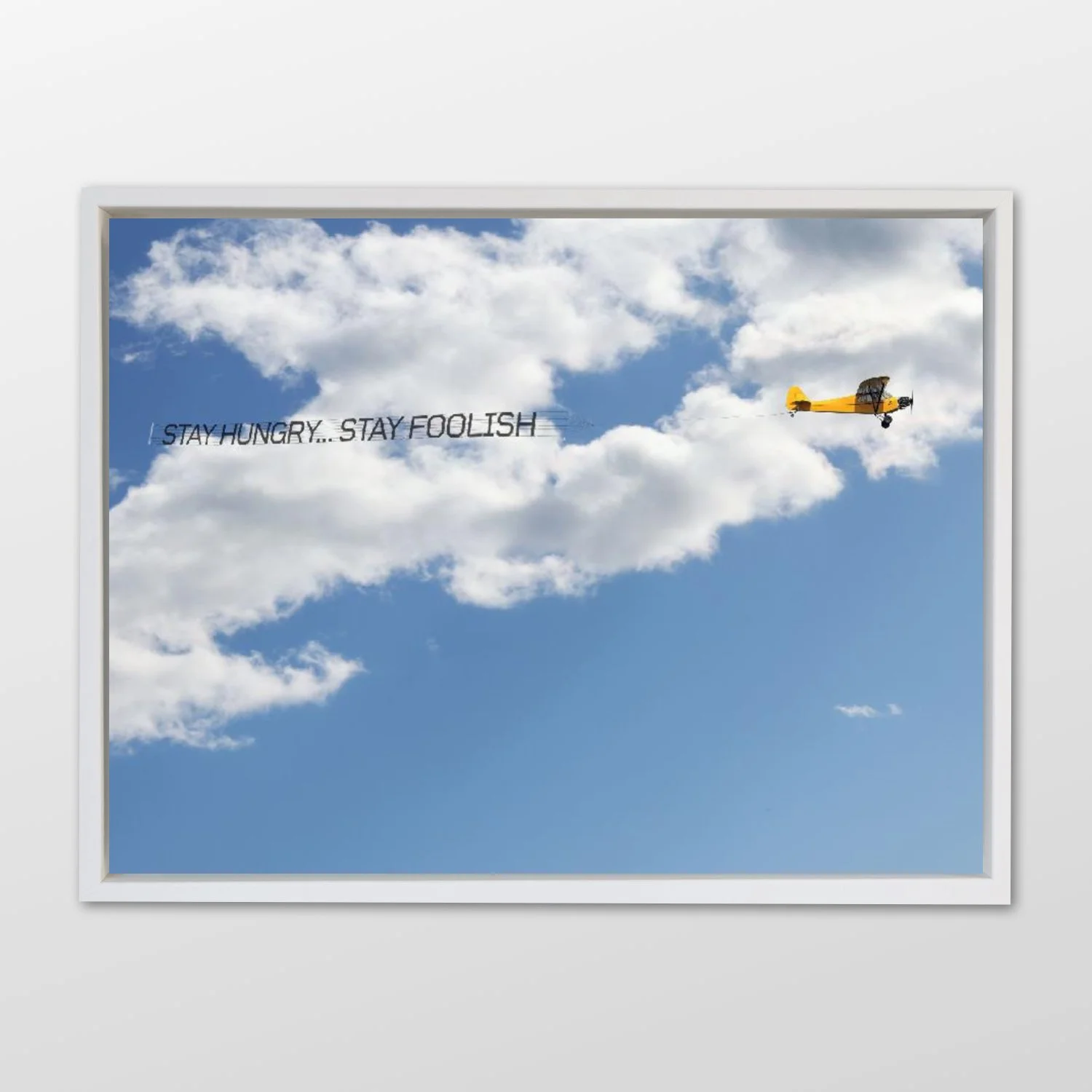 Debranne Cingari.073.jpeg