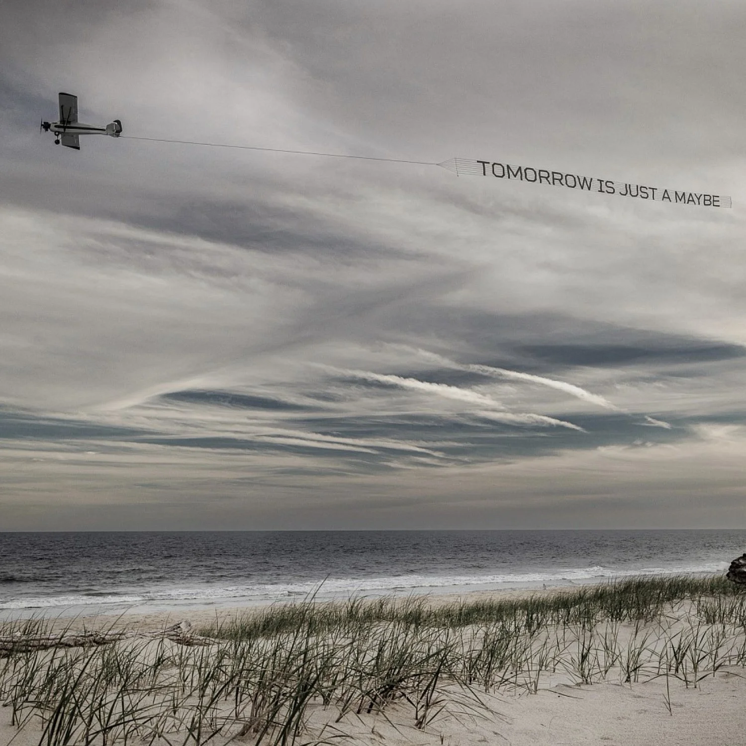 Debranne Cingari.028.jpeg