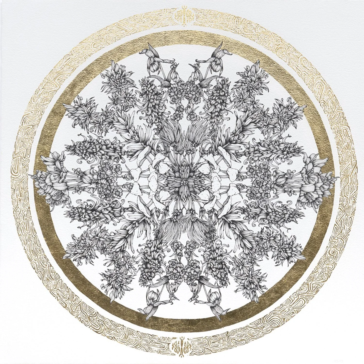 Whit Boucher Web.011.jpeg