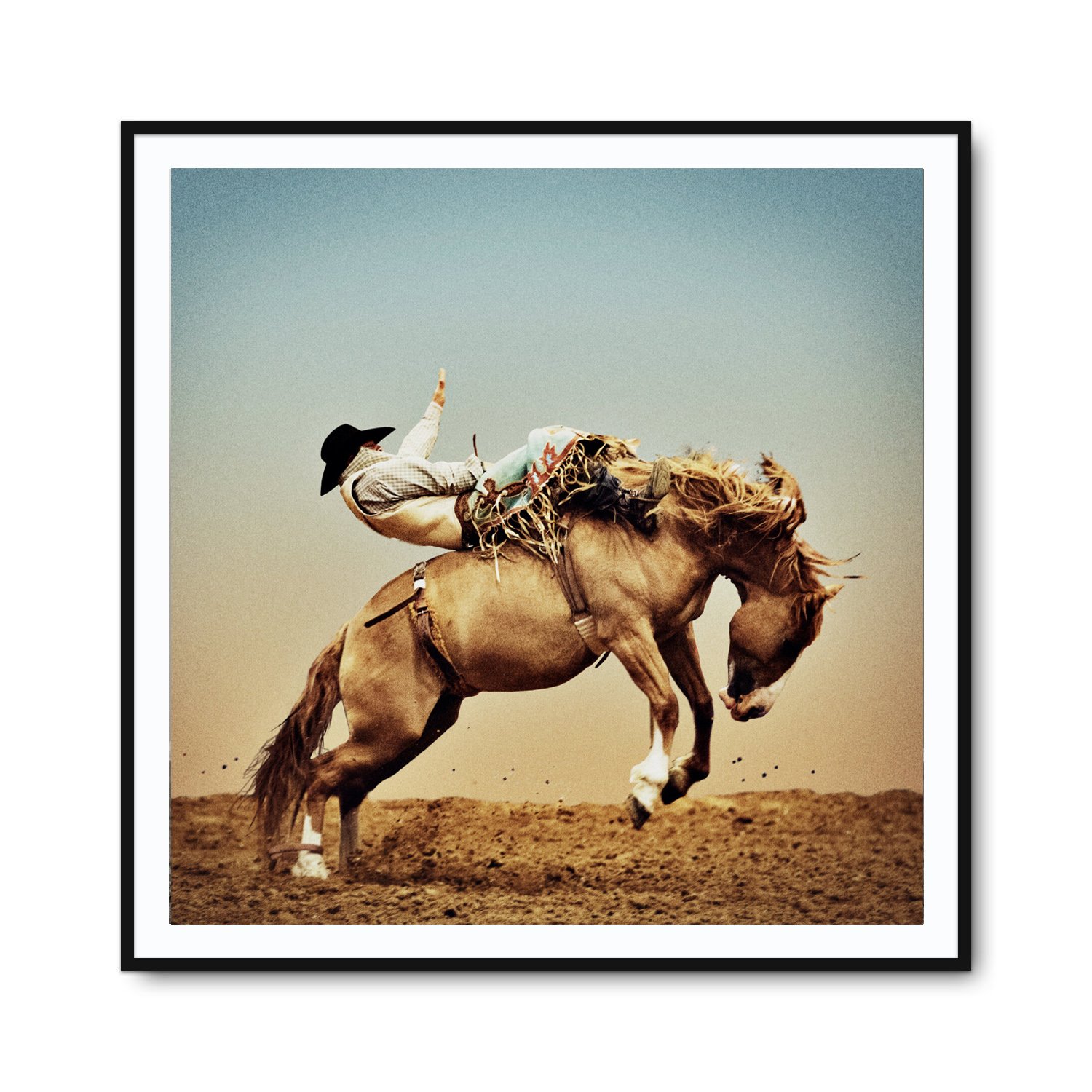 *Eight 7/8 | 42" x 42"