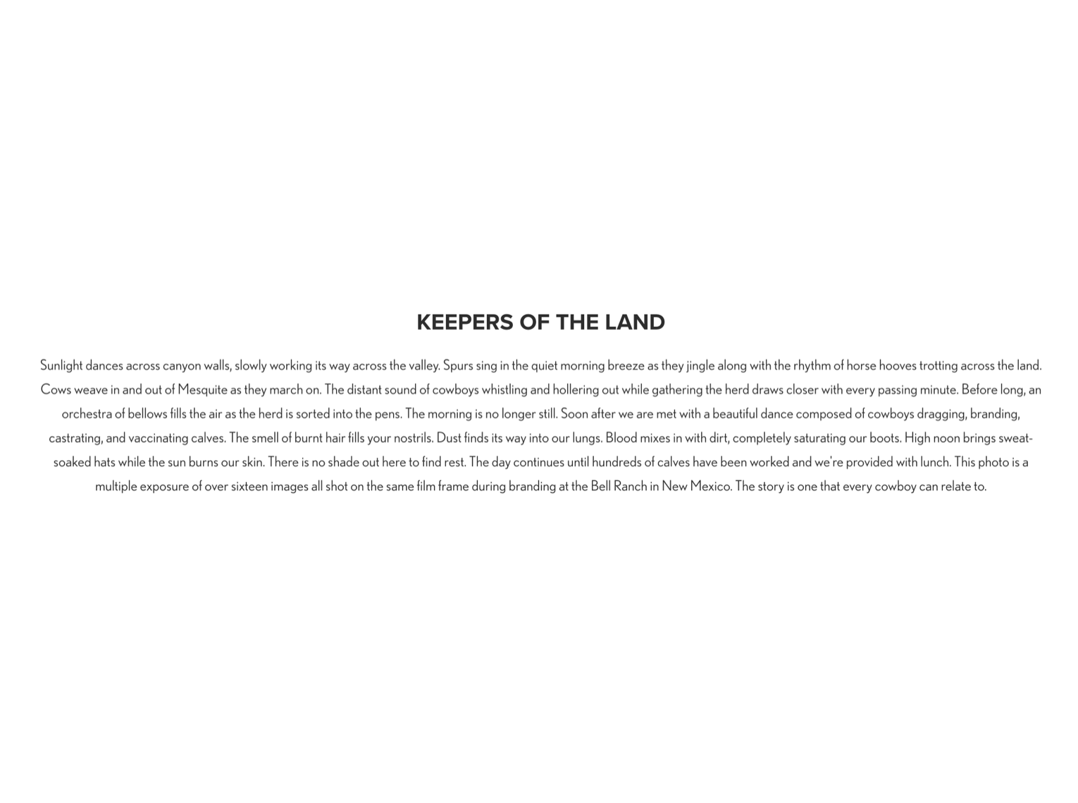 Keepers of the Land - Excerpt.png