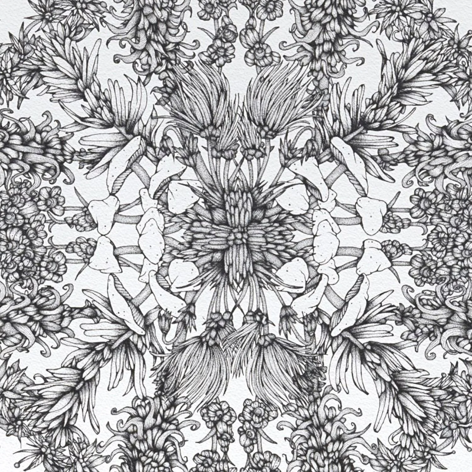 Whit Boucher Web.012.jpeg