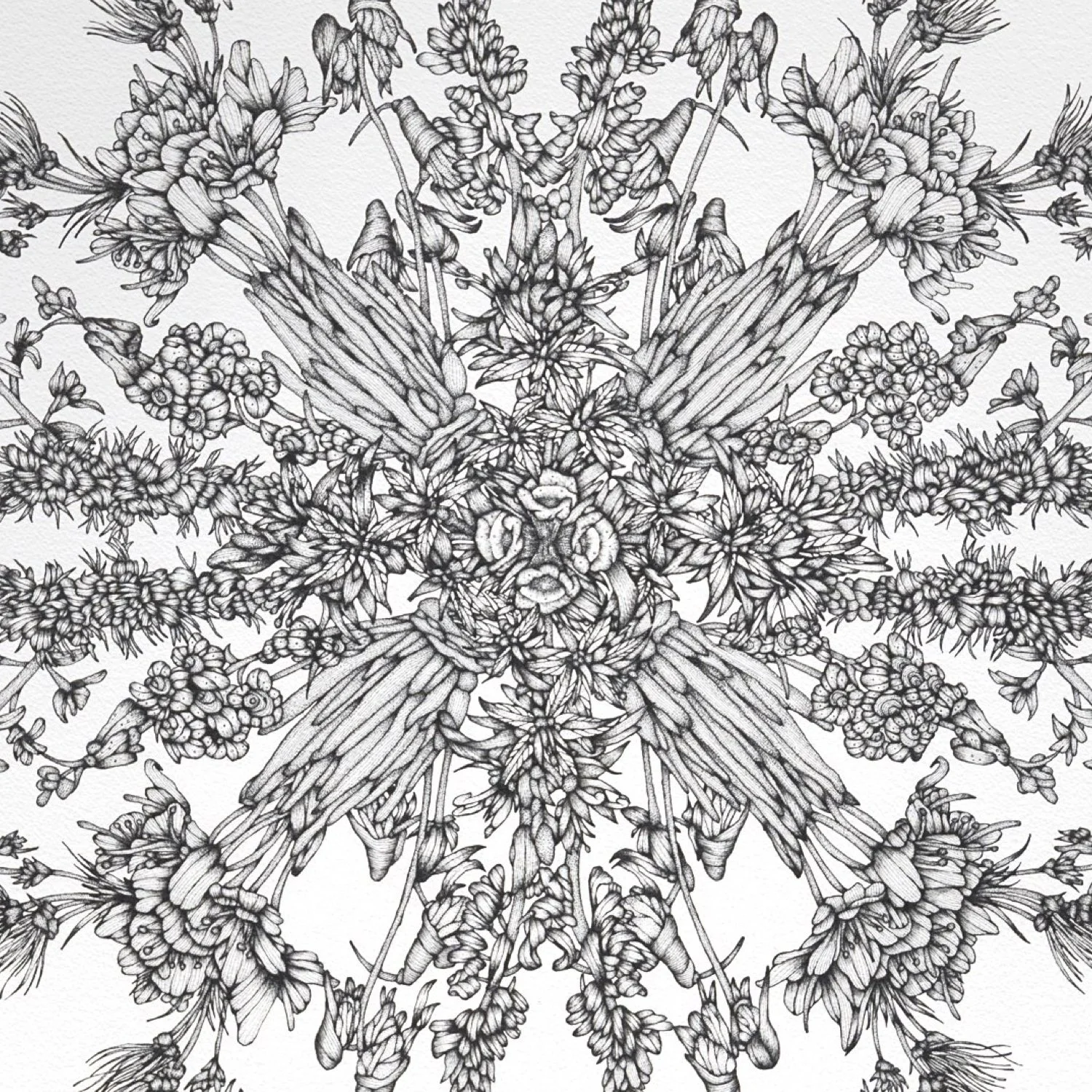 Whit Boucher Web.004.jpeg