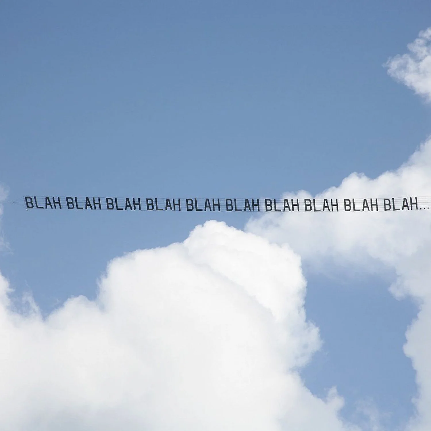 Debranne Cingari.003.jpeg