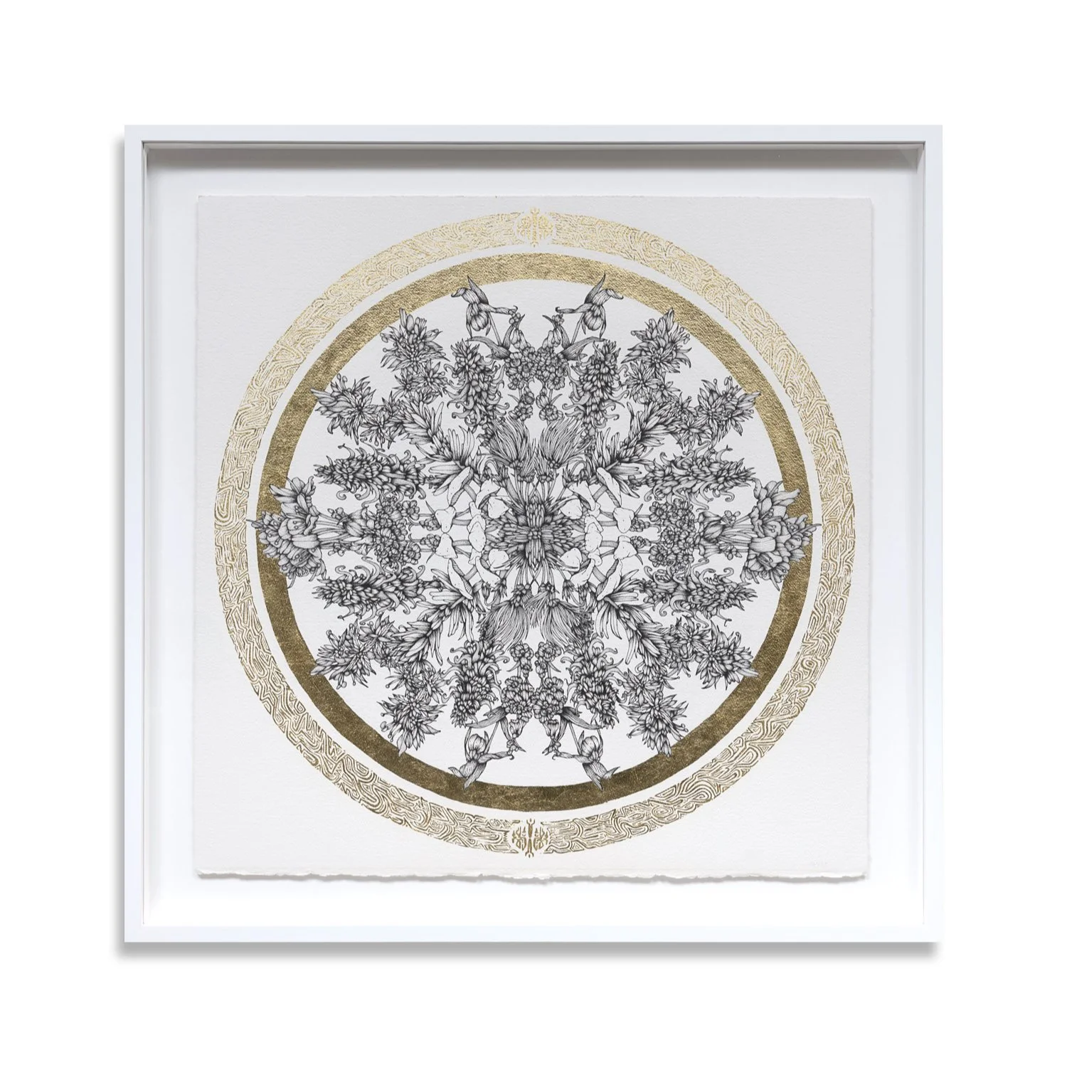 Floral Vortex Five  | 35 x 35"