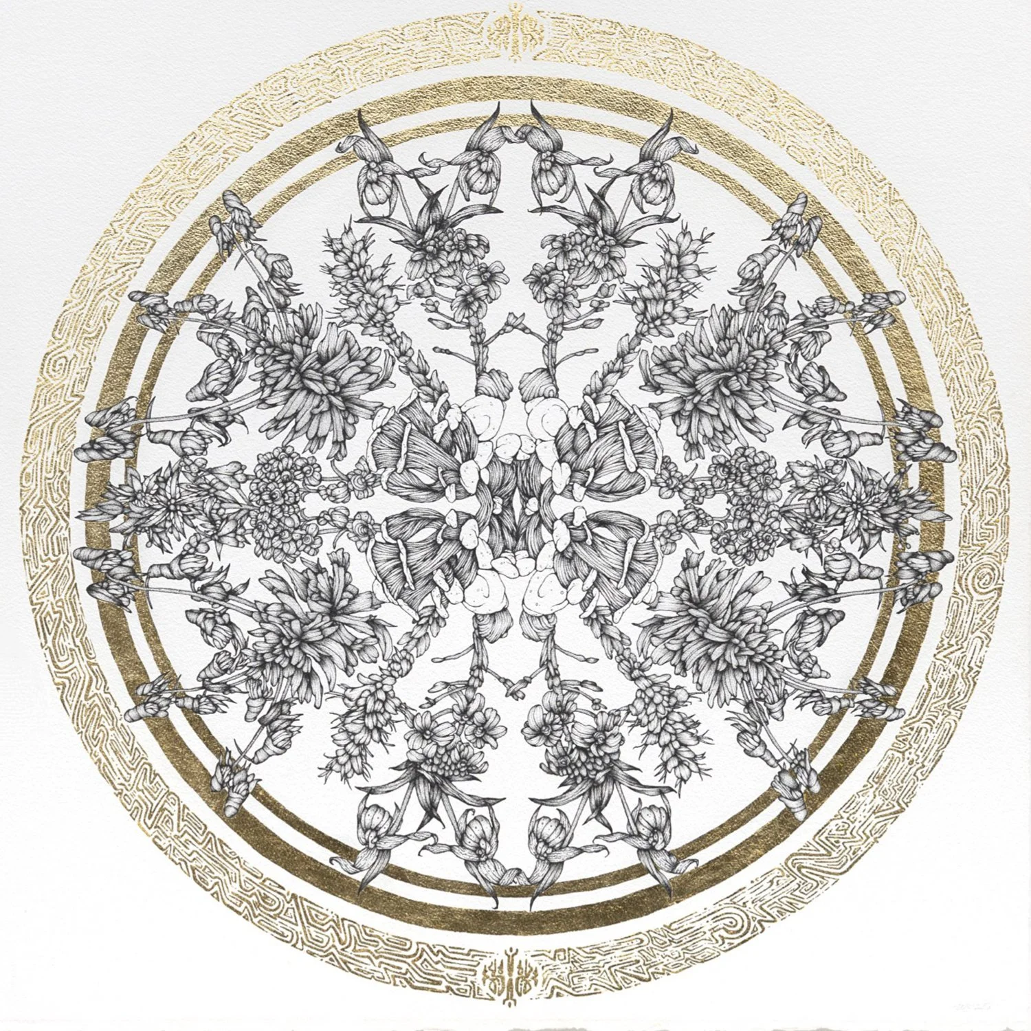 Whit Boucher Web.015.jpeg