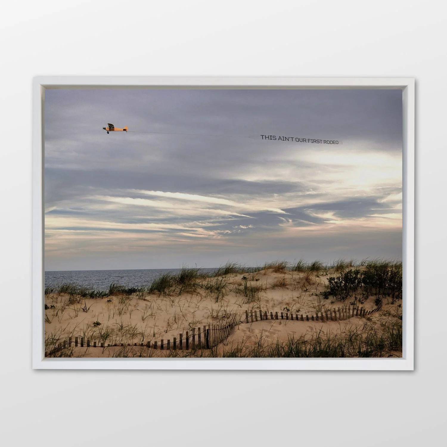 Debranne Cingari.019.jpeg