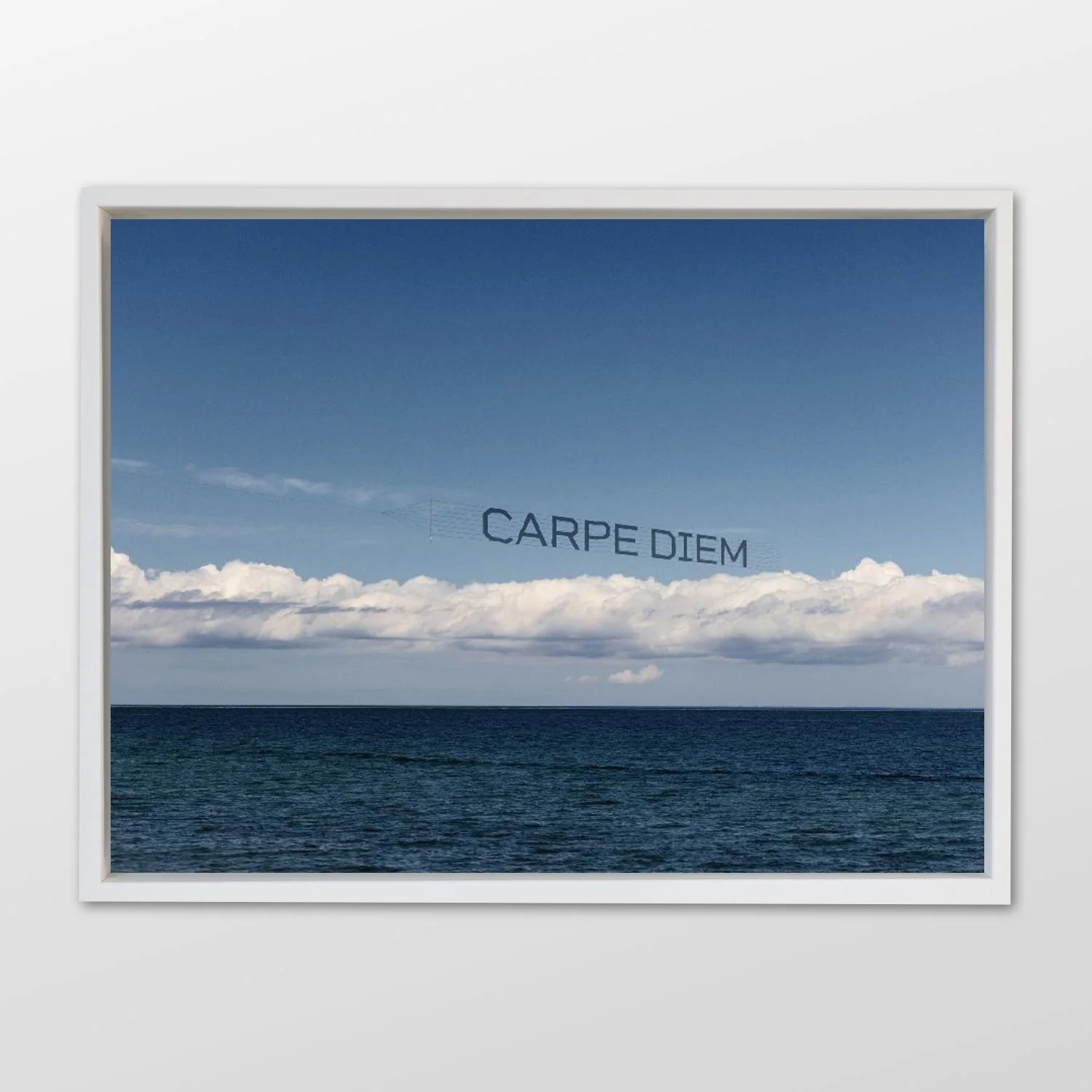 Debranne Cingari.078.jpeg