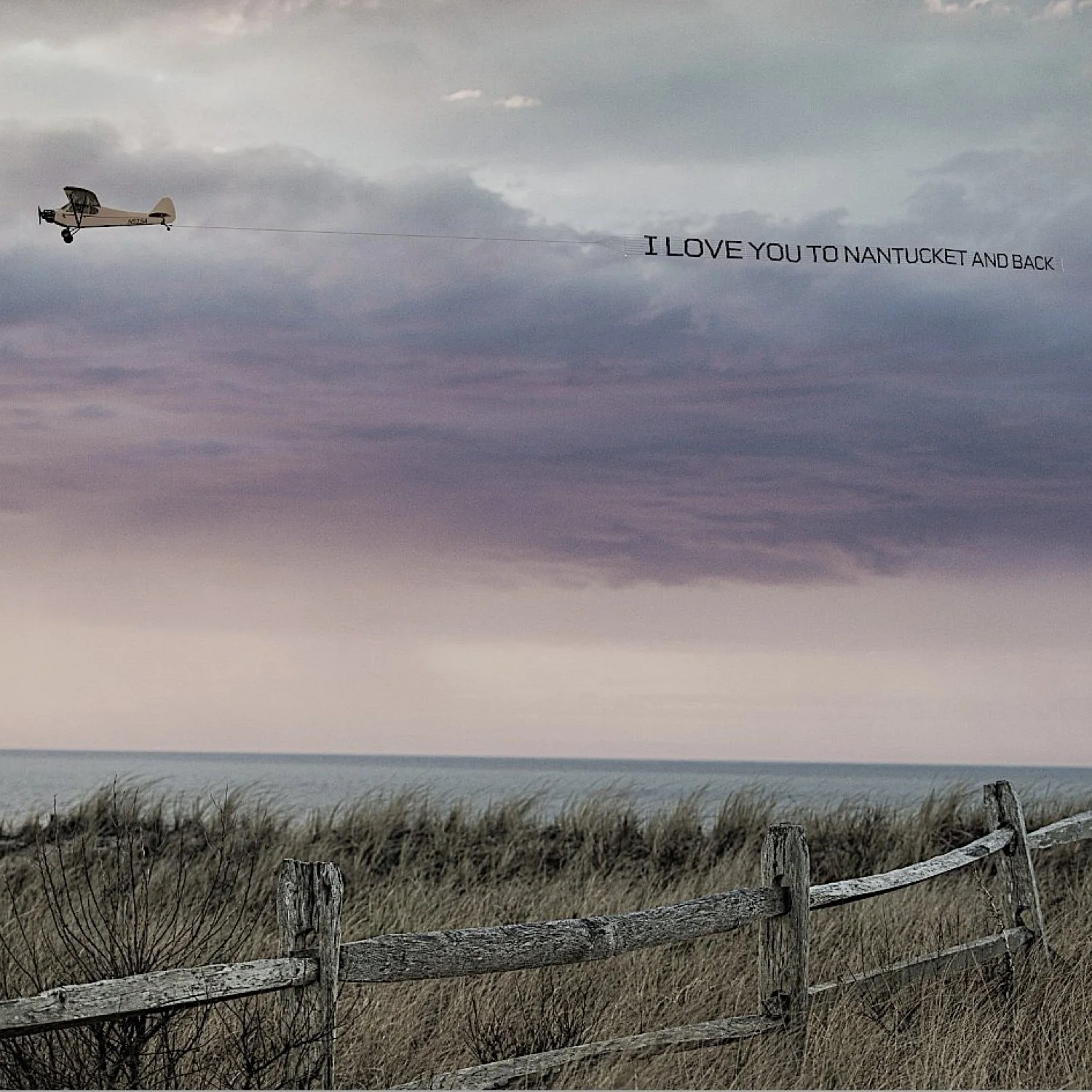 Debranne Cingari.038.jpeg