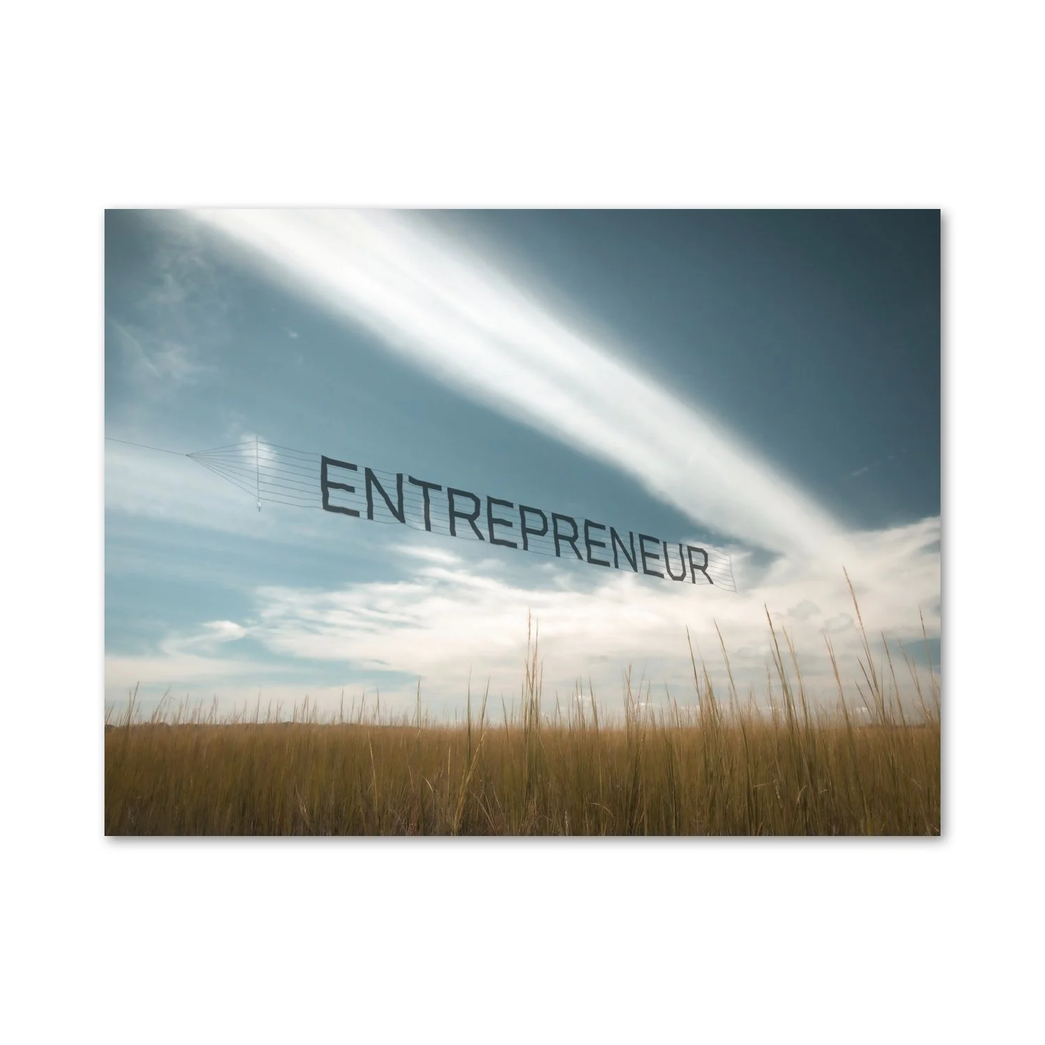 Entrepreneur