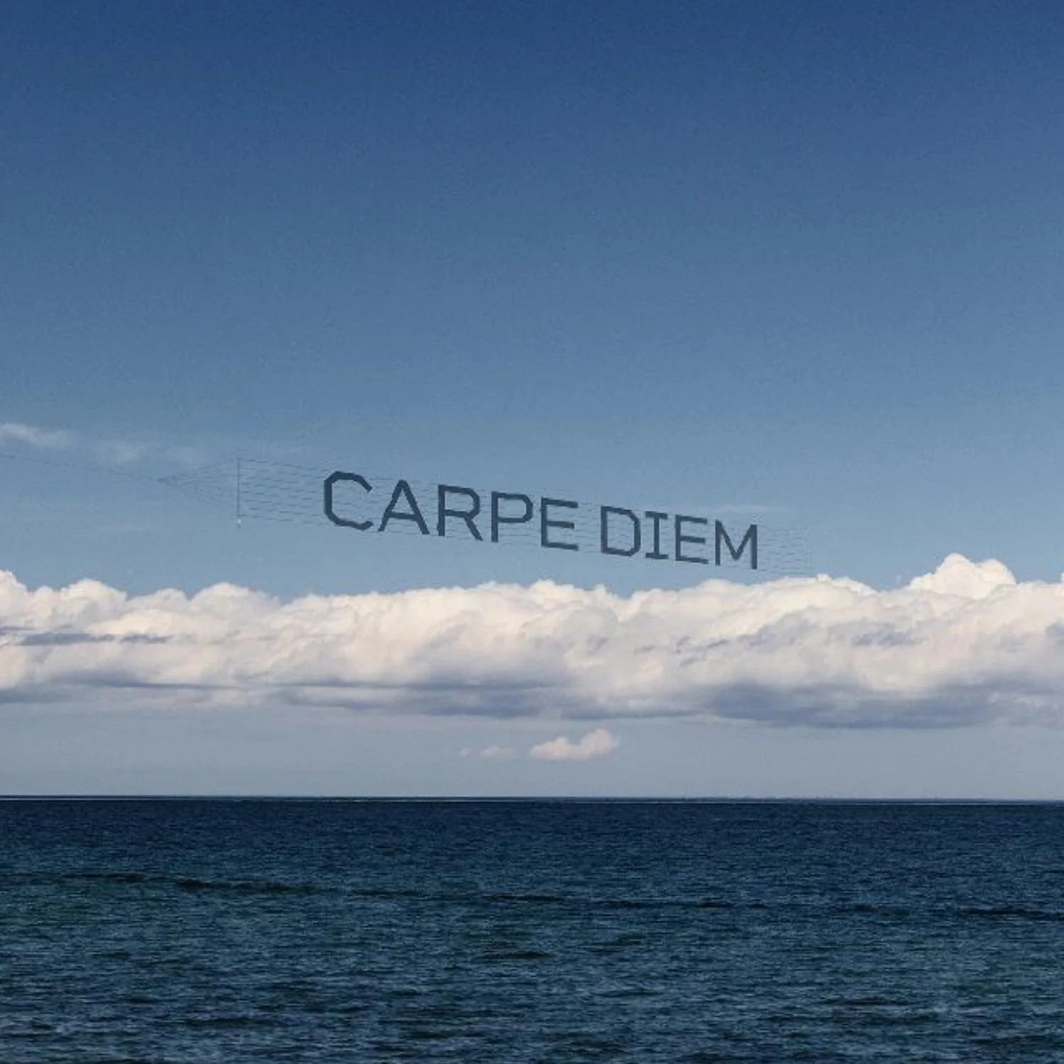 Debranne Cingari.077.jpeg