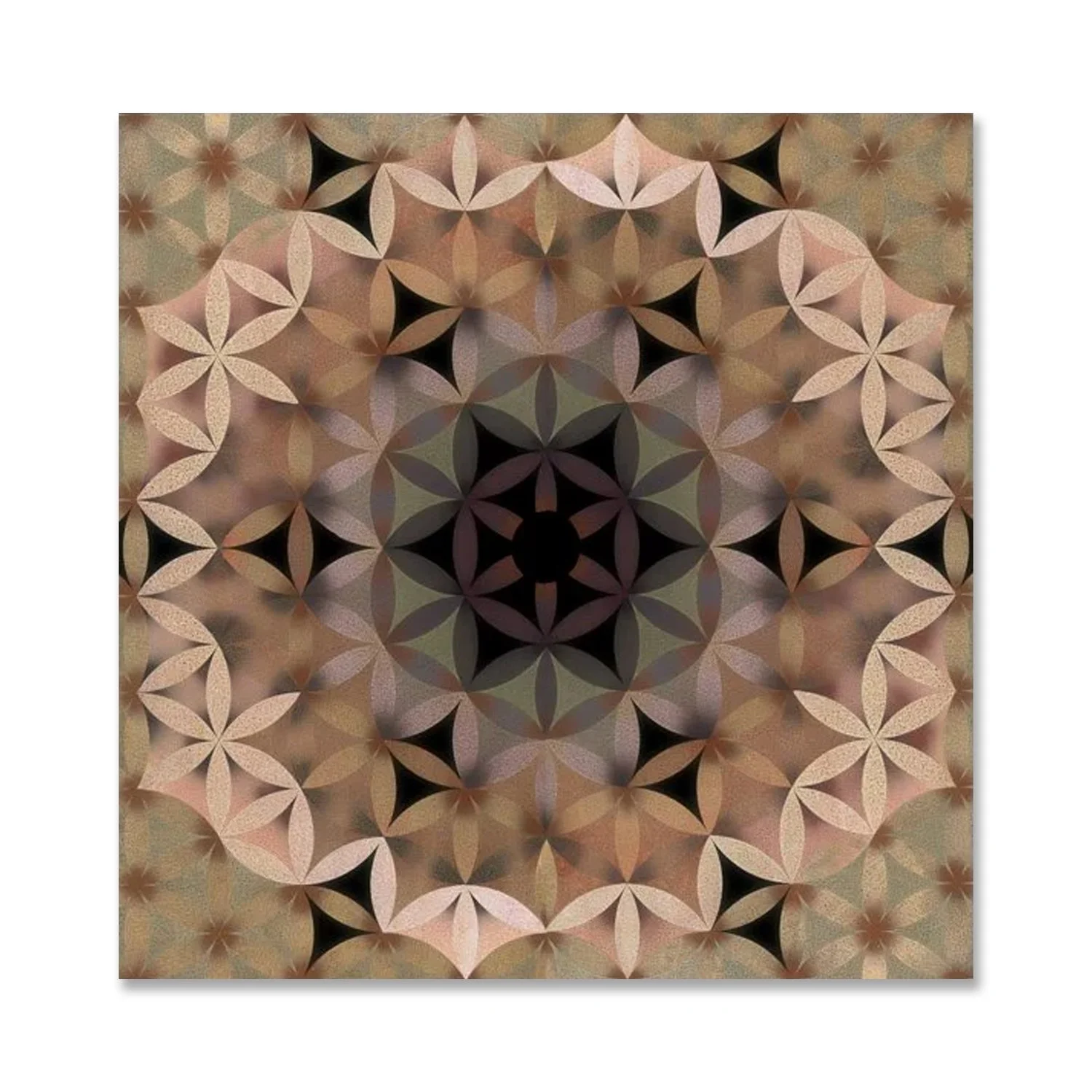 Kimbo - print.jpg