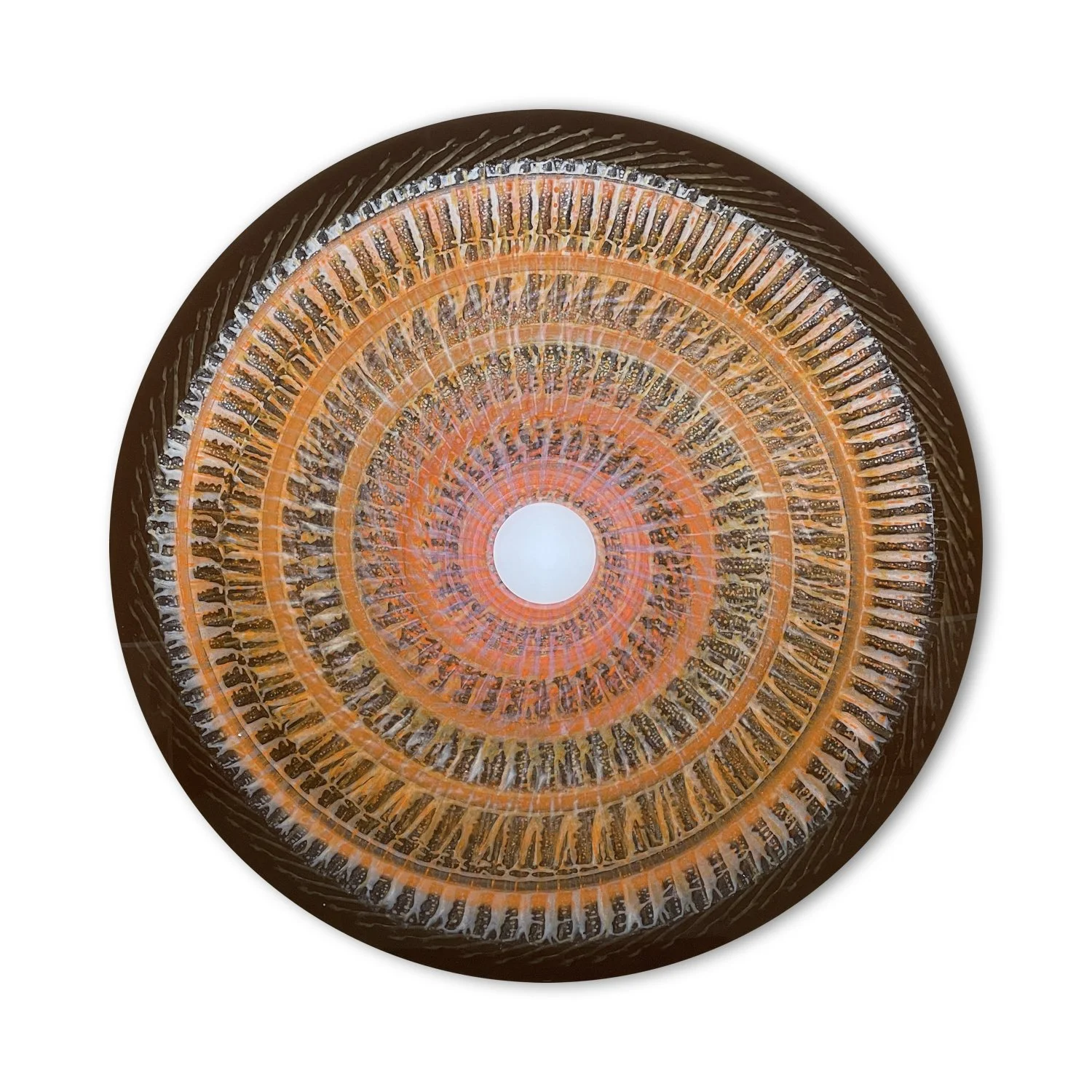 Vorticity Phoenix 01  |  46" Disc