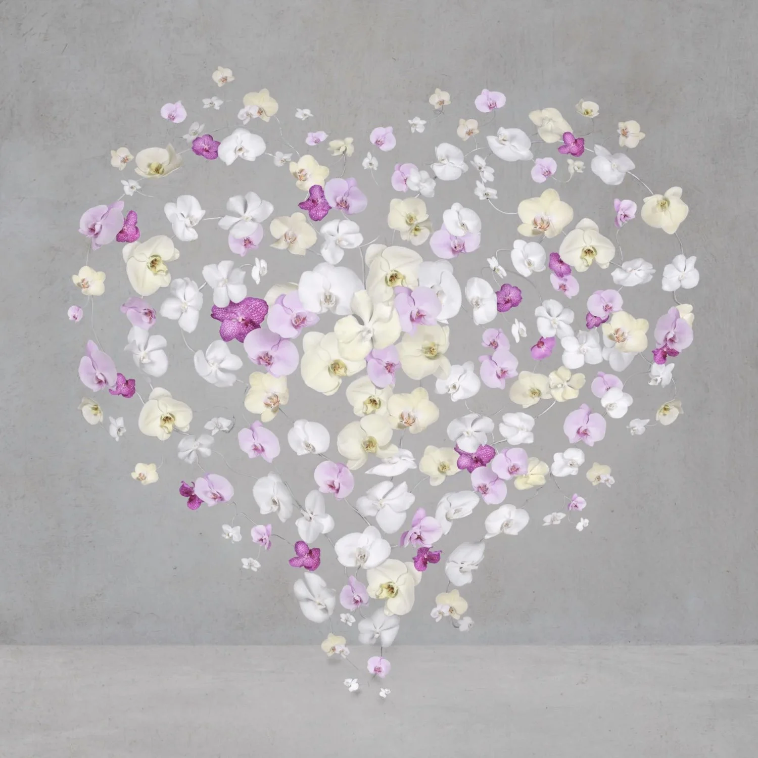 VZ-Blooming-Heart.002.jpeg