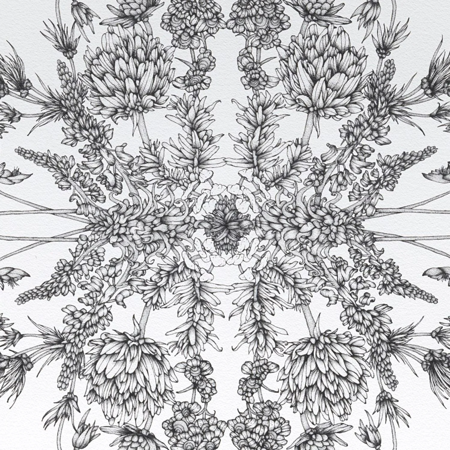 Whit Boucher Web.008.jpeg