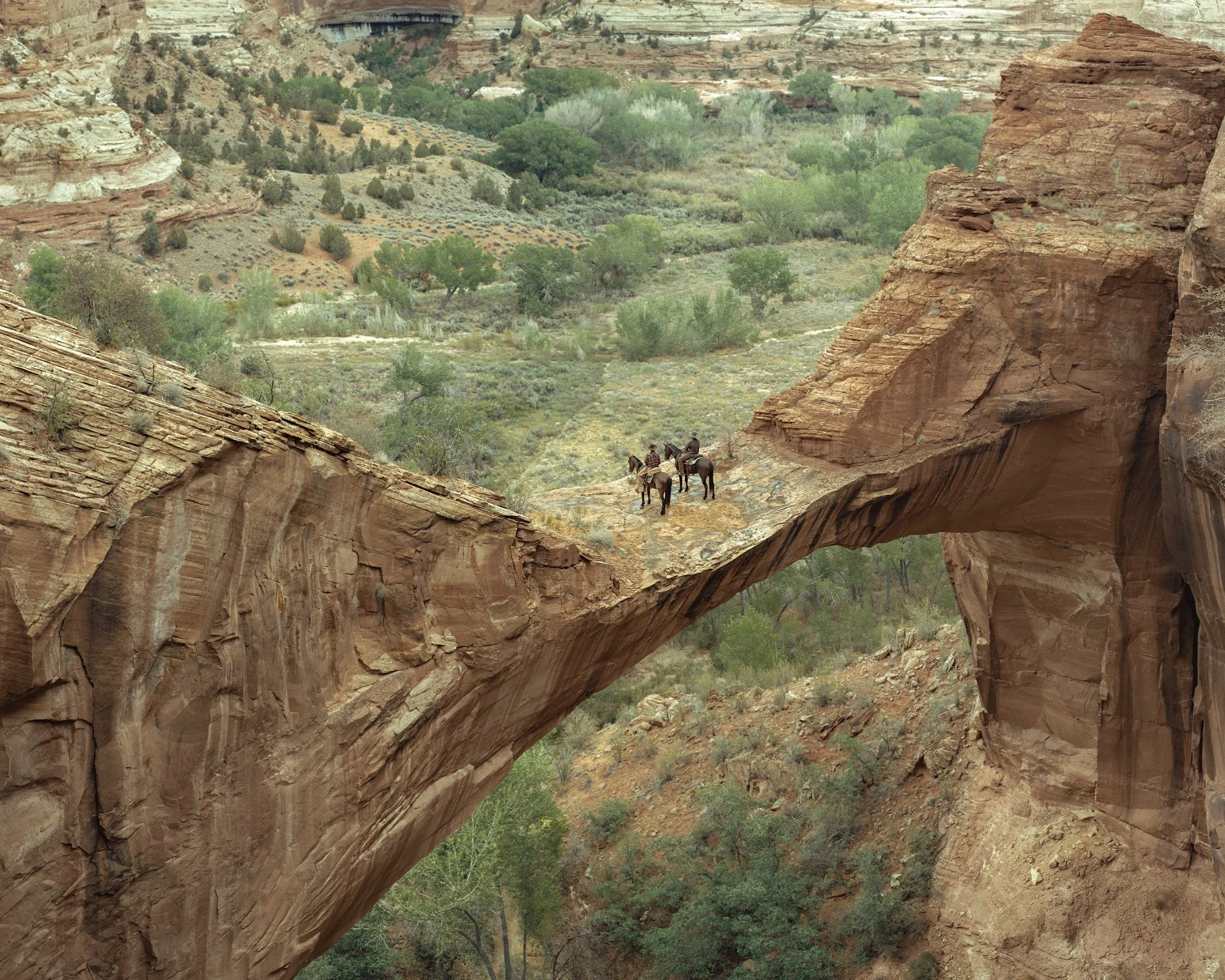 On the Edge of Time.jpg