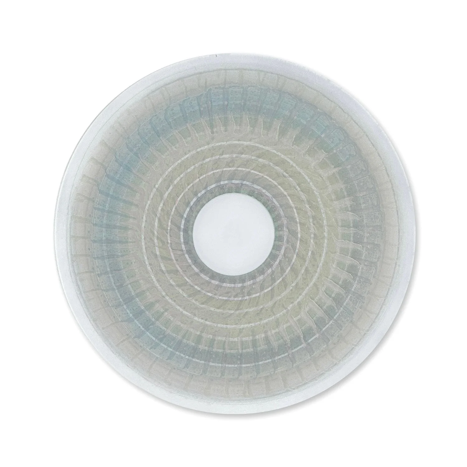 Vita Florentina 09  |  24" Disc