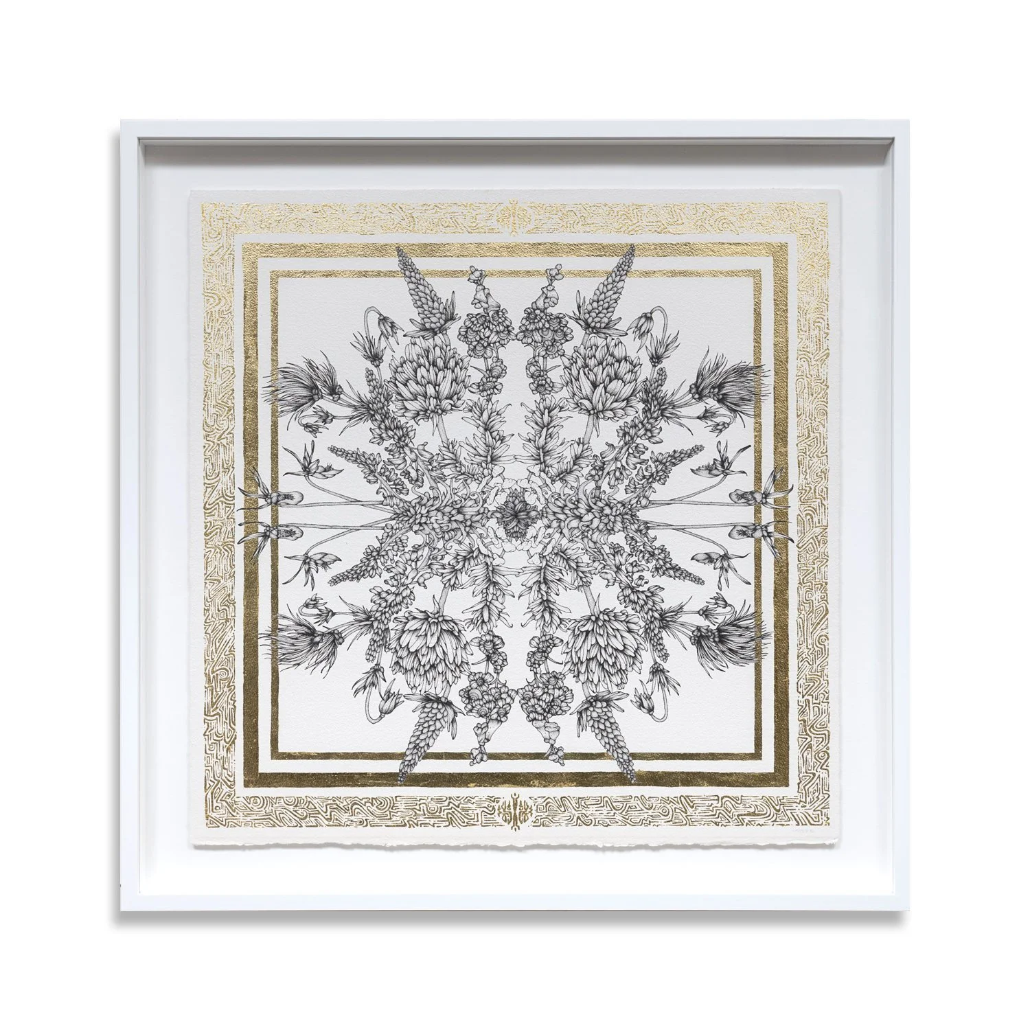 Floral Vortex Four  | 35 x 35"