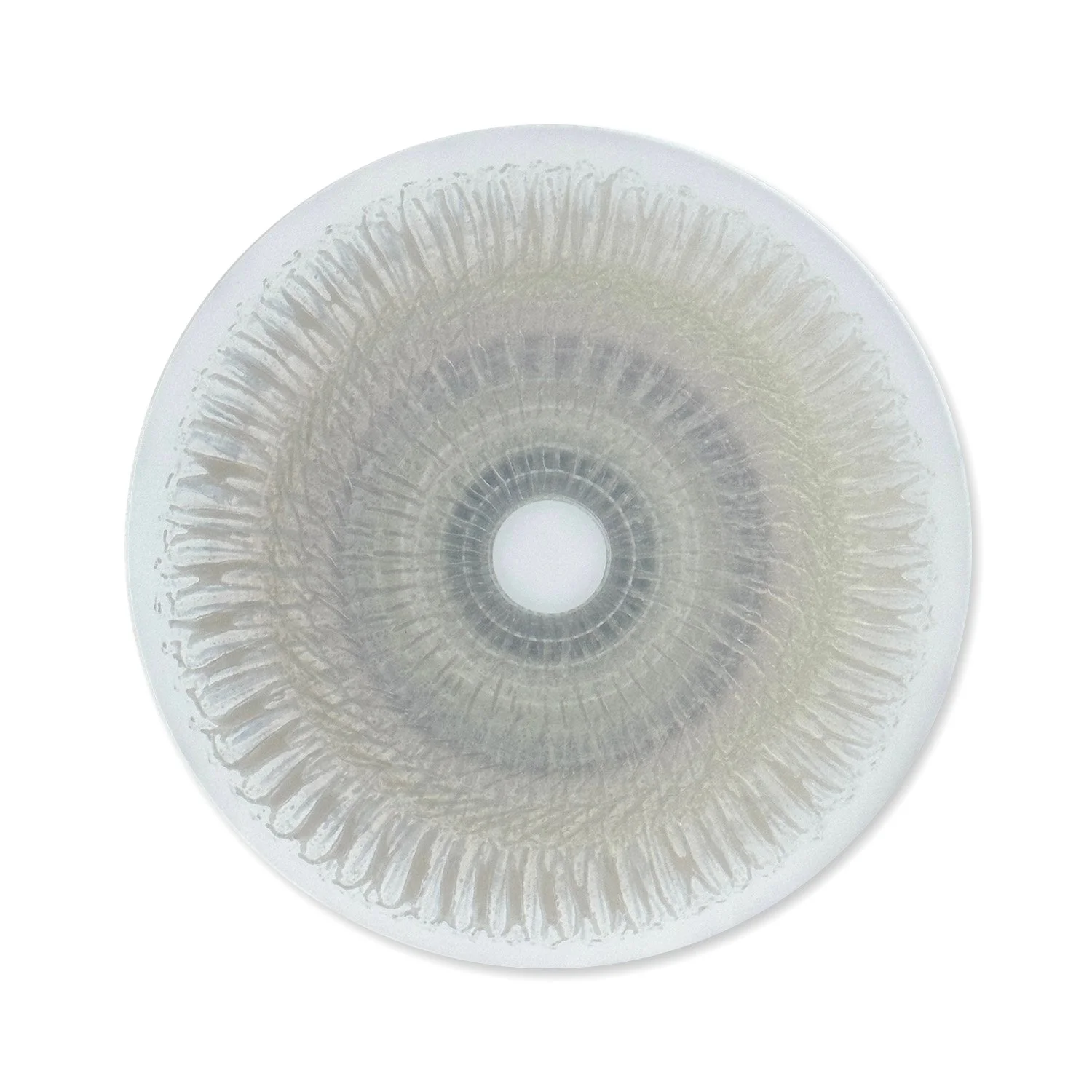 Vita Florentina 16  |  32" Disc