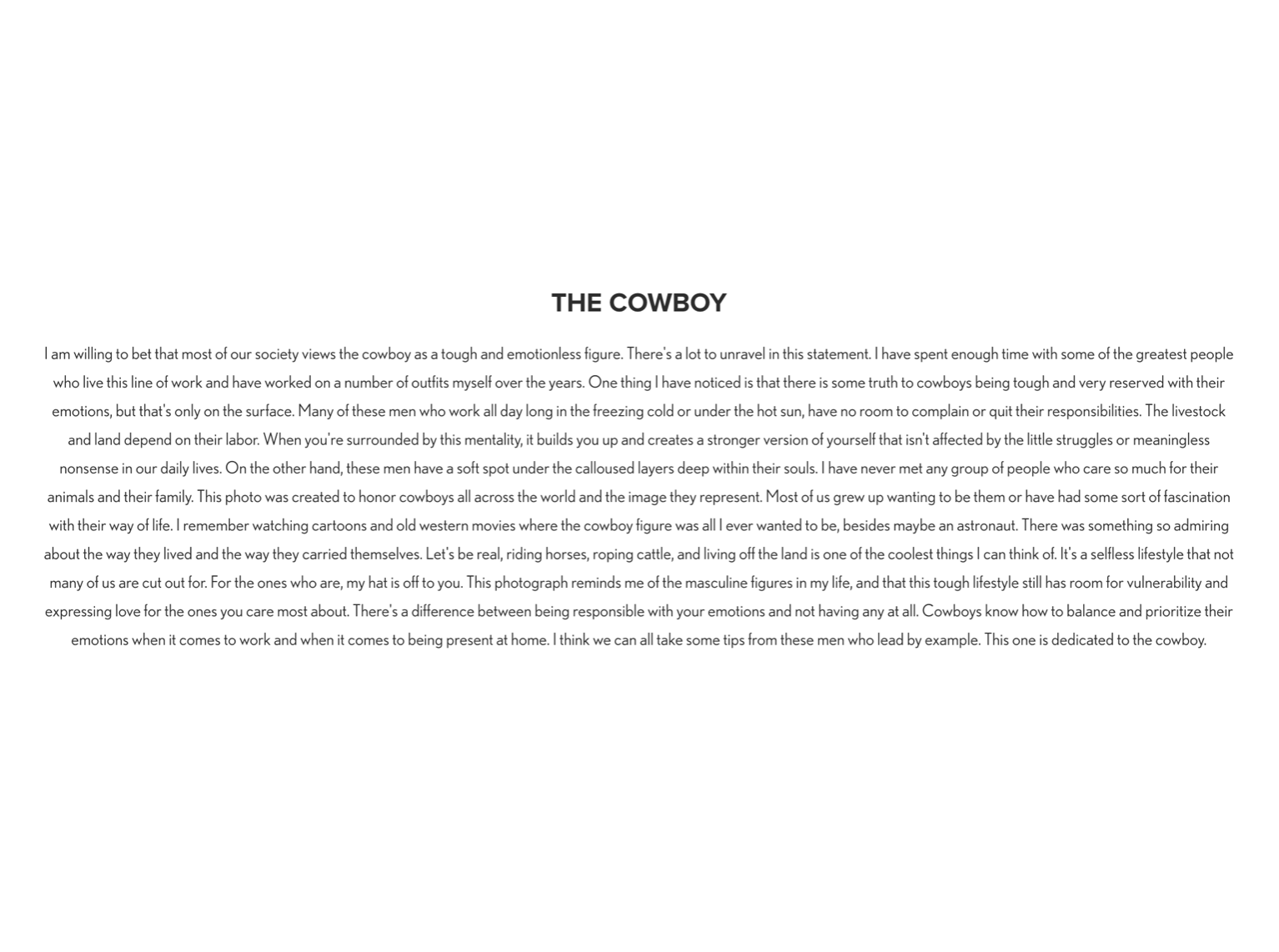 The Cowboy - Excerpt.png