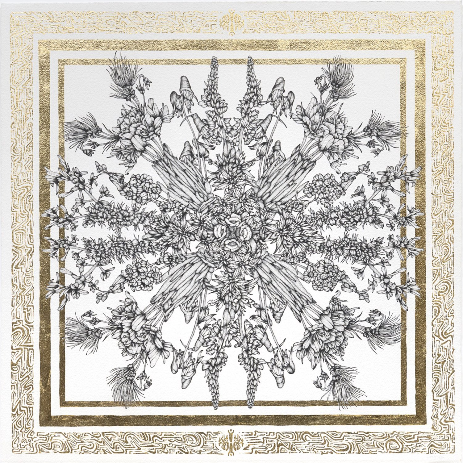 Whit Boucher Web.003.jpeg